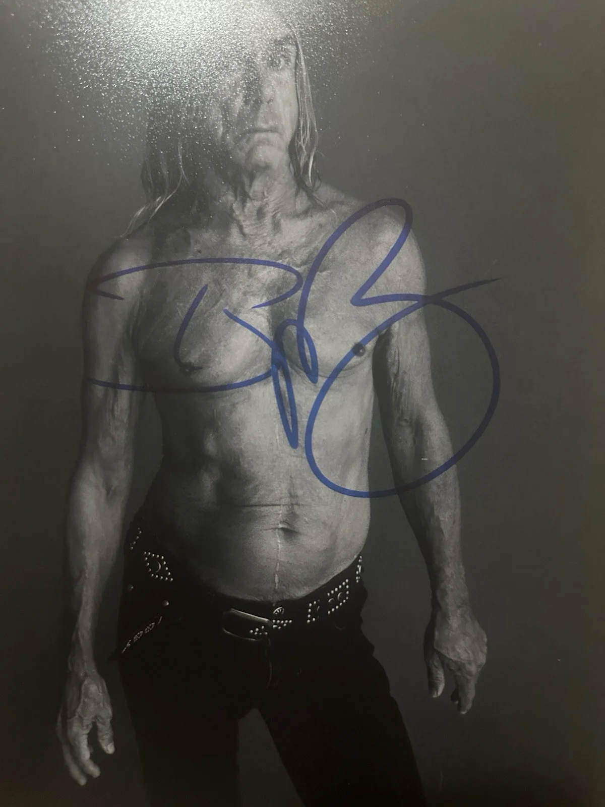 Iggy Pop Hand Signed 8x10 Photo Autographed by the Legendary Singer, COA, image 2