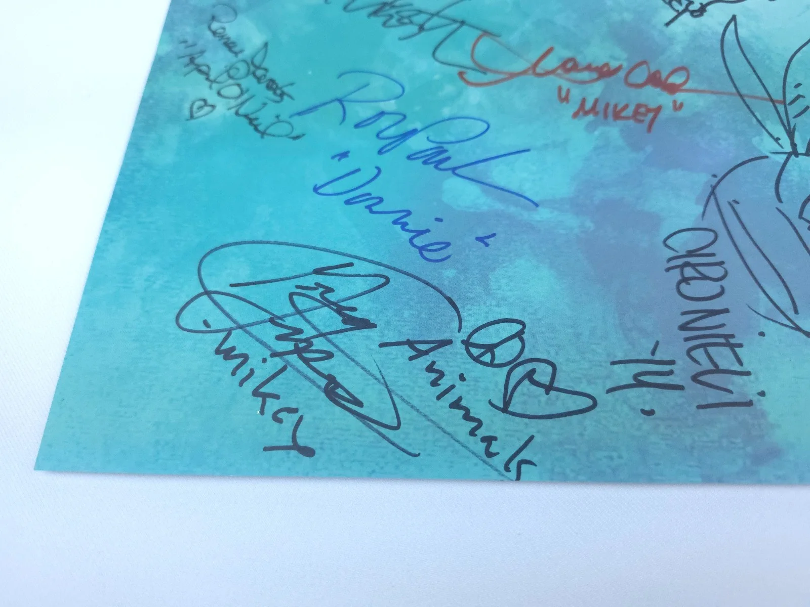 TMNT Ninja Turtles Autograph Sketch Lot - April, Splinter, Krang, Don and MORE!!, изображение 4