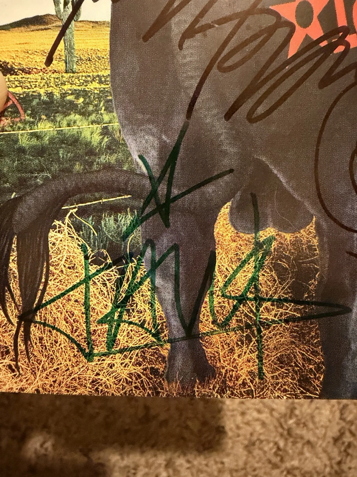 Blink 182 Autographed Album Cover NO COA, image 2