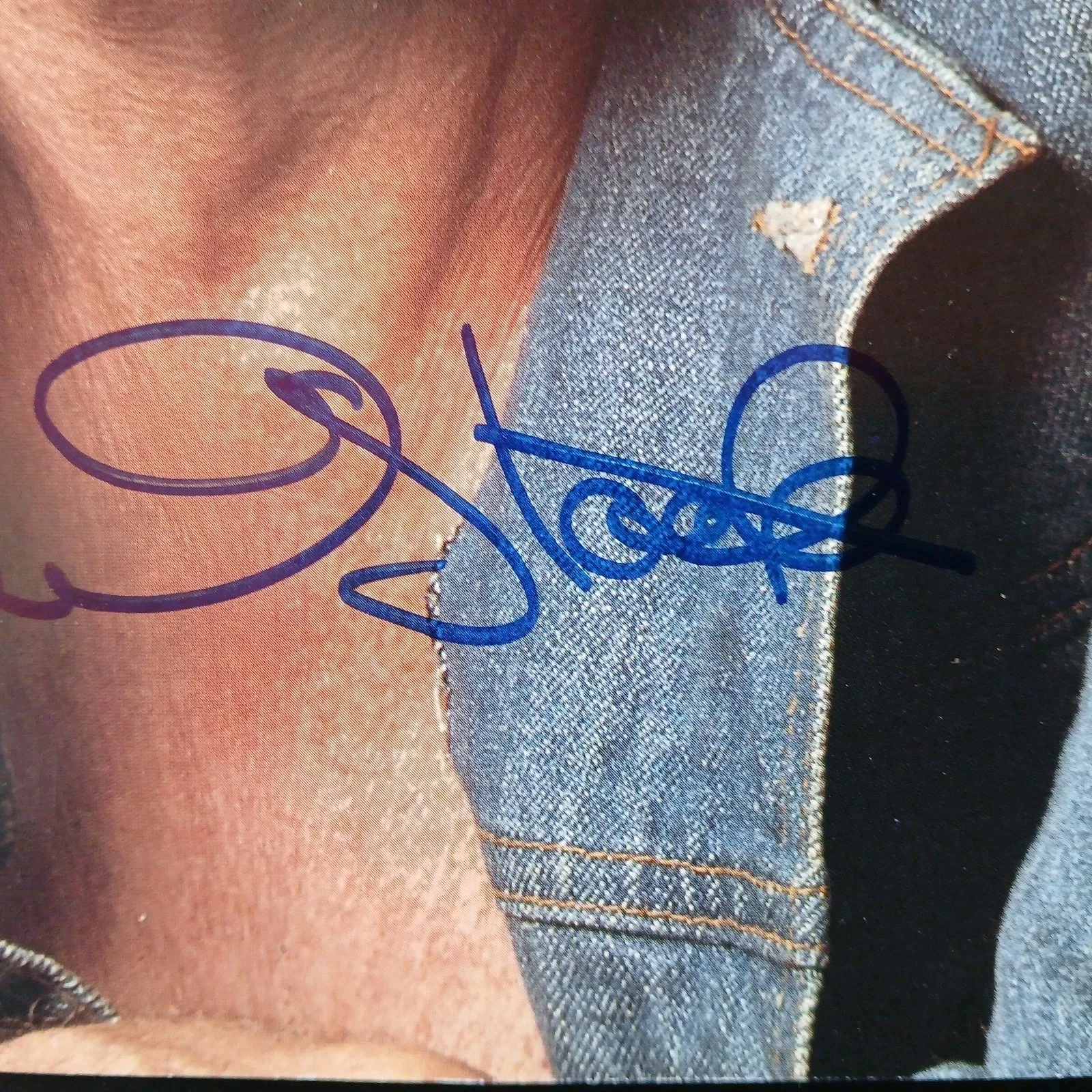 robert stack — robert stack signed 1980s book picture airplane! untouchables, image 4