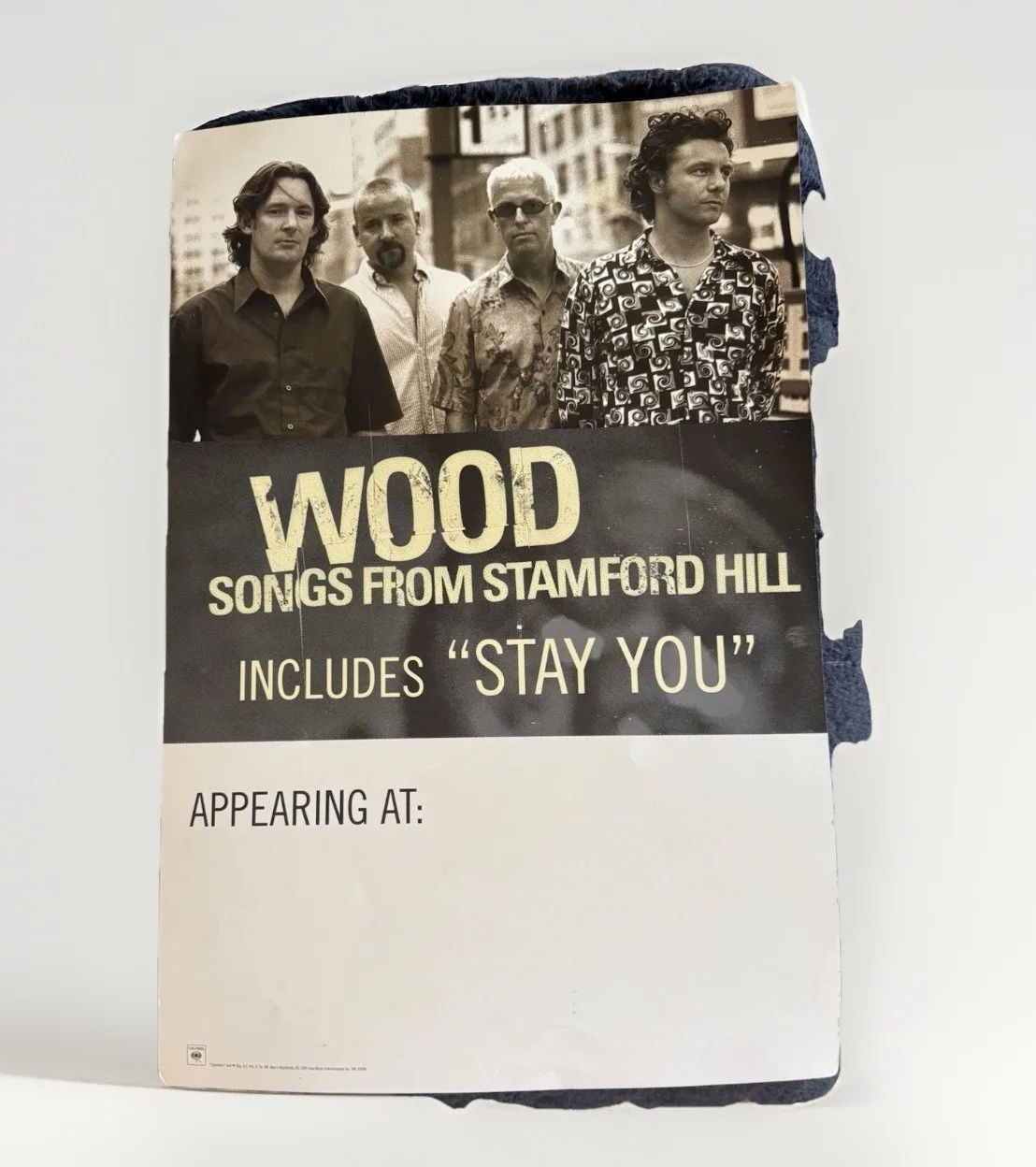 WOOD Signed By UK Band Promo Poster Songs From Stamford Hill James Maddock 18x12, изображение 2