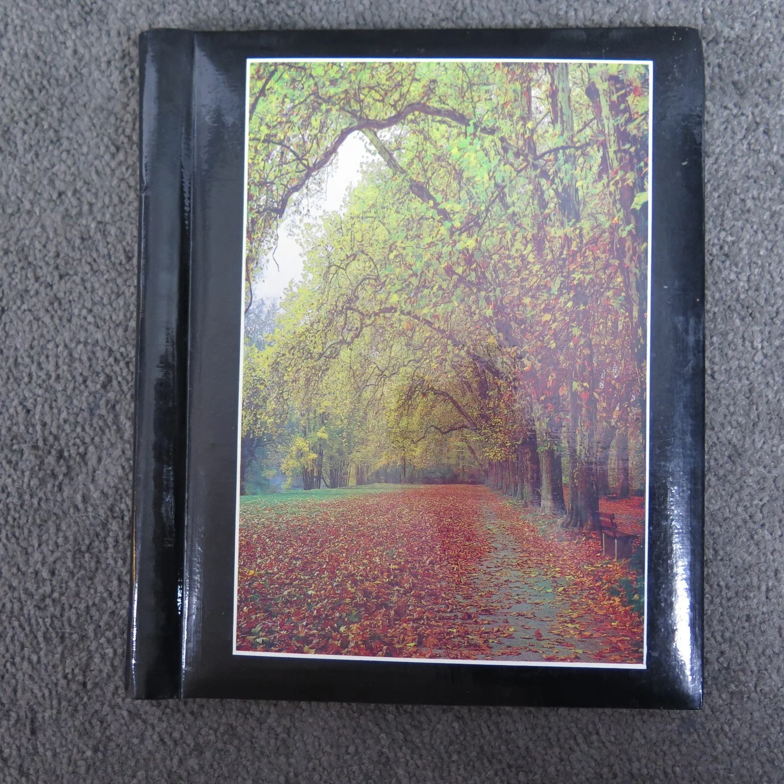 Tom Baker — Doctor Who Fan Scrapbook 80's Tom Baker & Peter Davidson Handmade Autographed, изображение 2