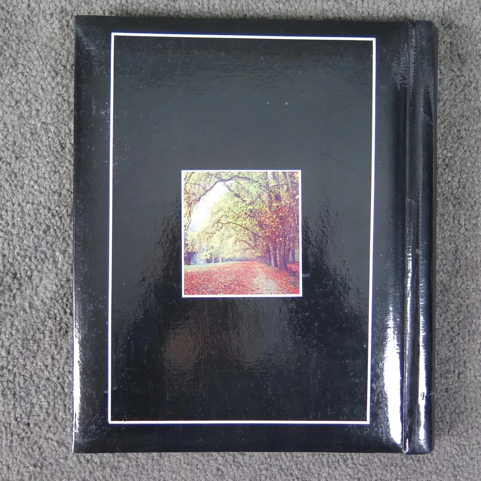 Tom Baker — Doctor Who Fan Scrapbook 80's Tom Baker & Peter Davidson Handmade Autographed, изображение 3