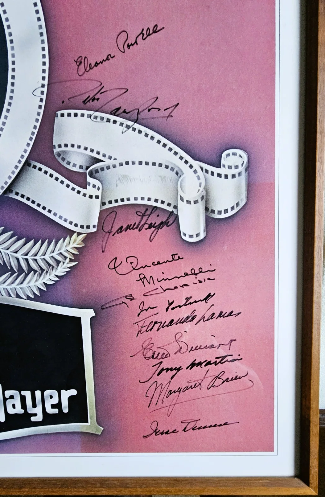 Stars Of MGM Autographed Poster: 23 Major Stars 1979 Framed with Authentication!, image 5