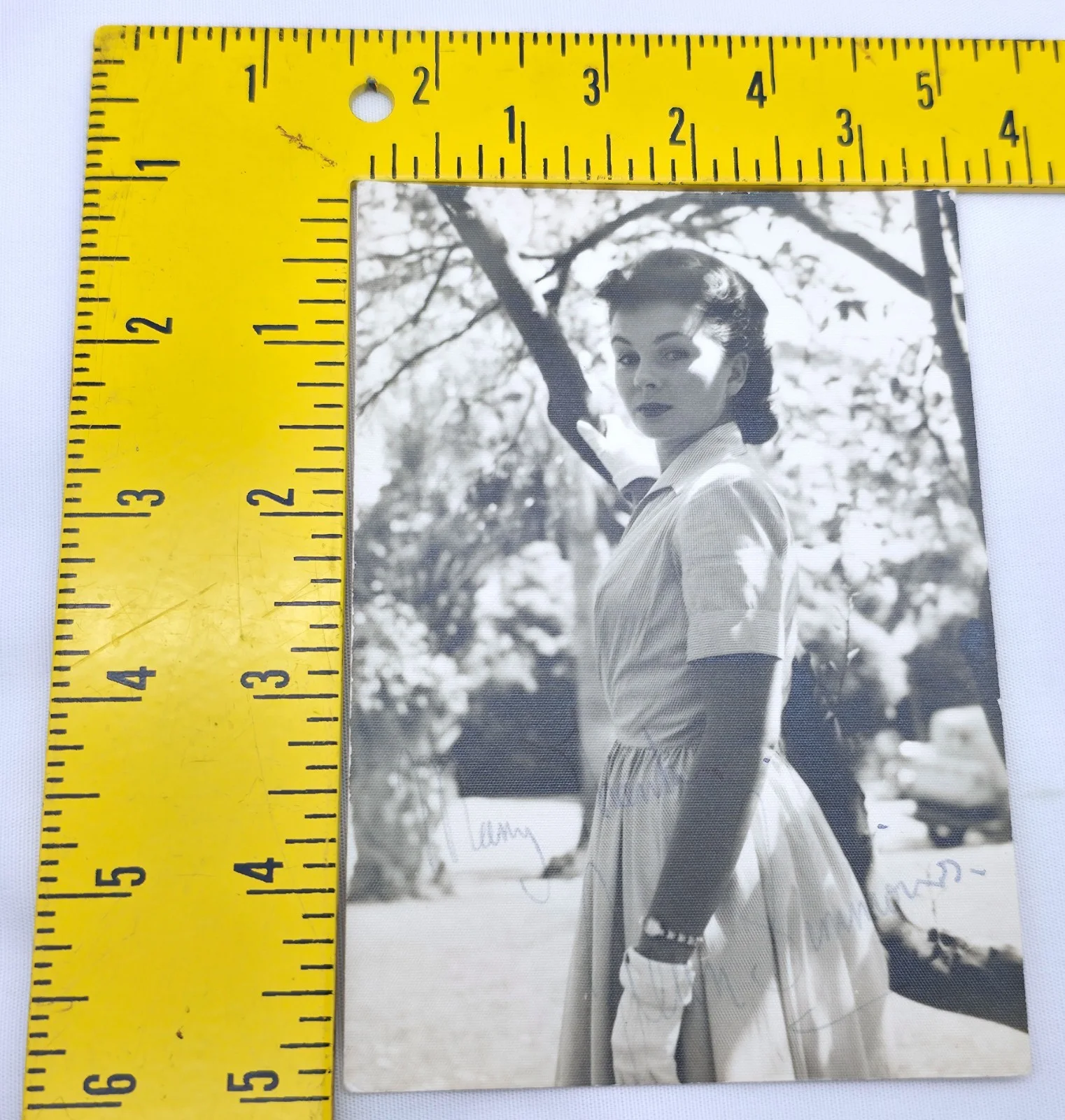 Jean Simmons — Vintage Black & White Hand Signed Photo Autograph Jean Simmons #2, image 5