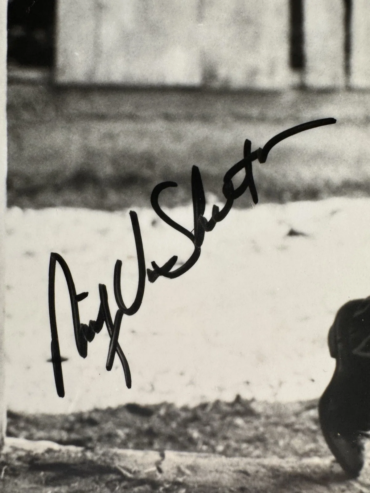 Ricky Van Shelton Signed 8x10 Photo Autographed Country Music Promo Columbia, изображение 3