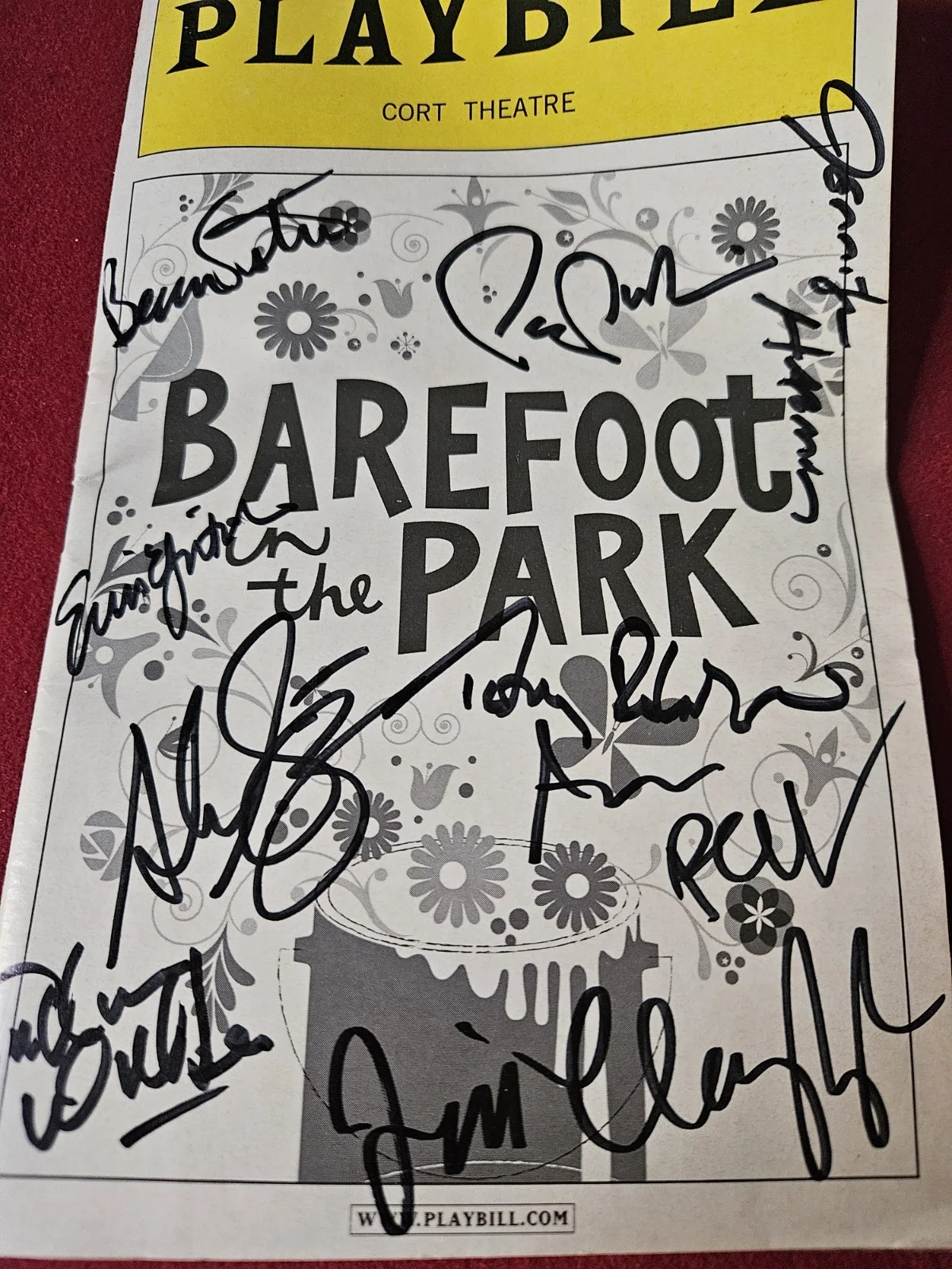 Amanda Peet, Tony Roberts, Jill Clayburgh, more — 03/2006 Barefoot in the Park Playbill signed by the cast List in description, изображение 2