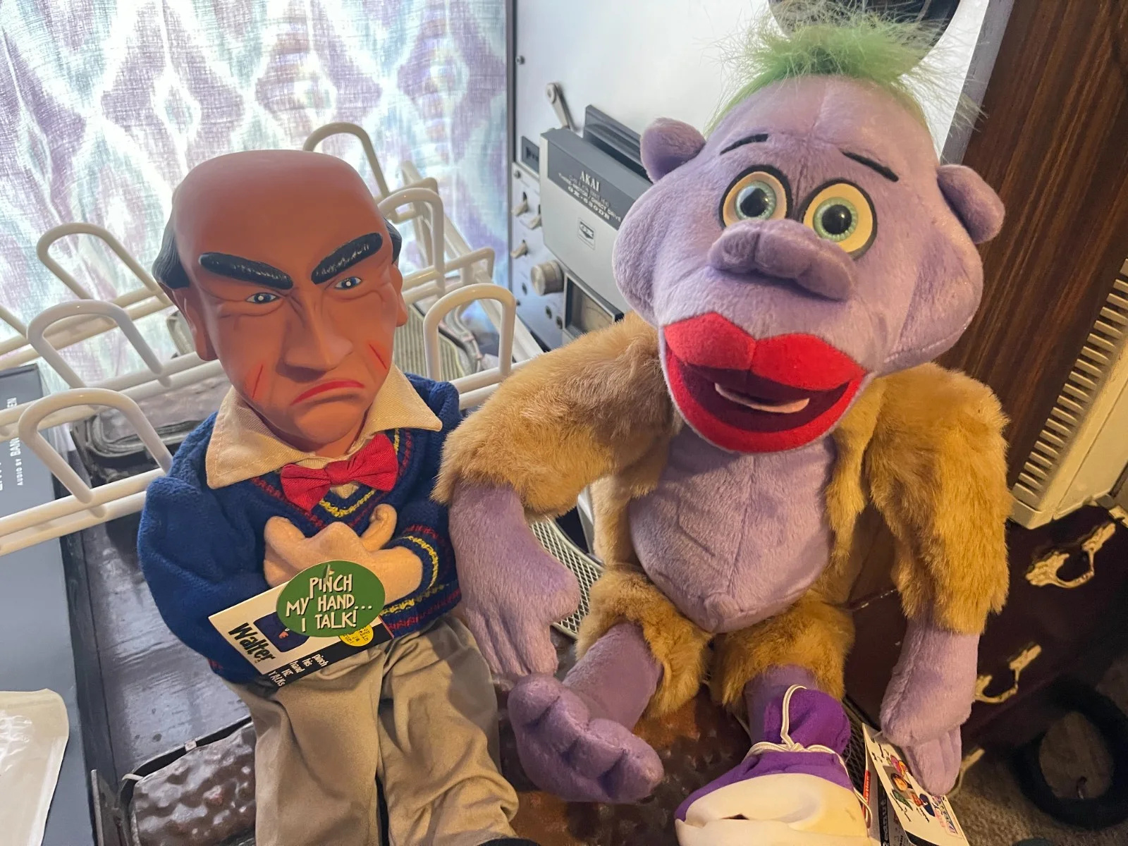 Jeff Dunham — Jeff Dunham Signed Lot – Walter & Peanut Dolls + Dear Walter Book Autographed, image 4