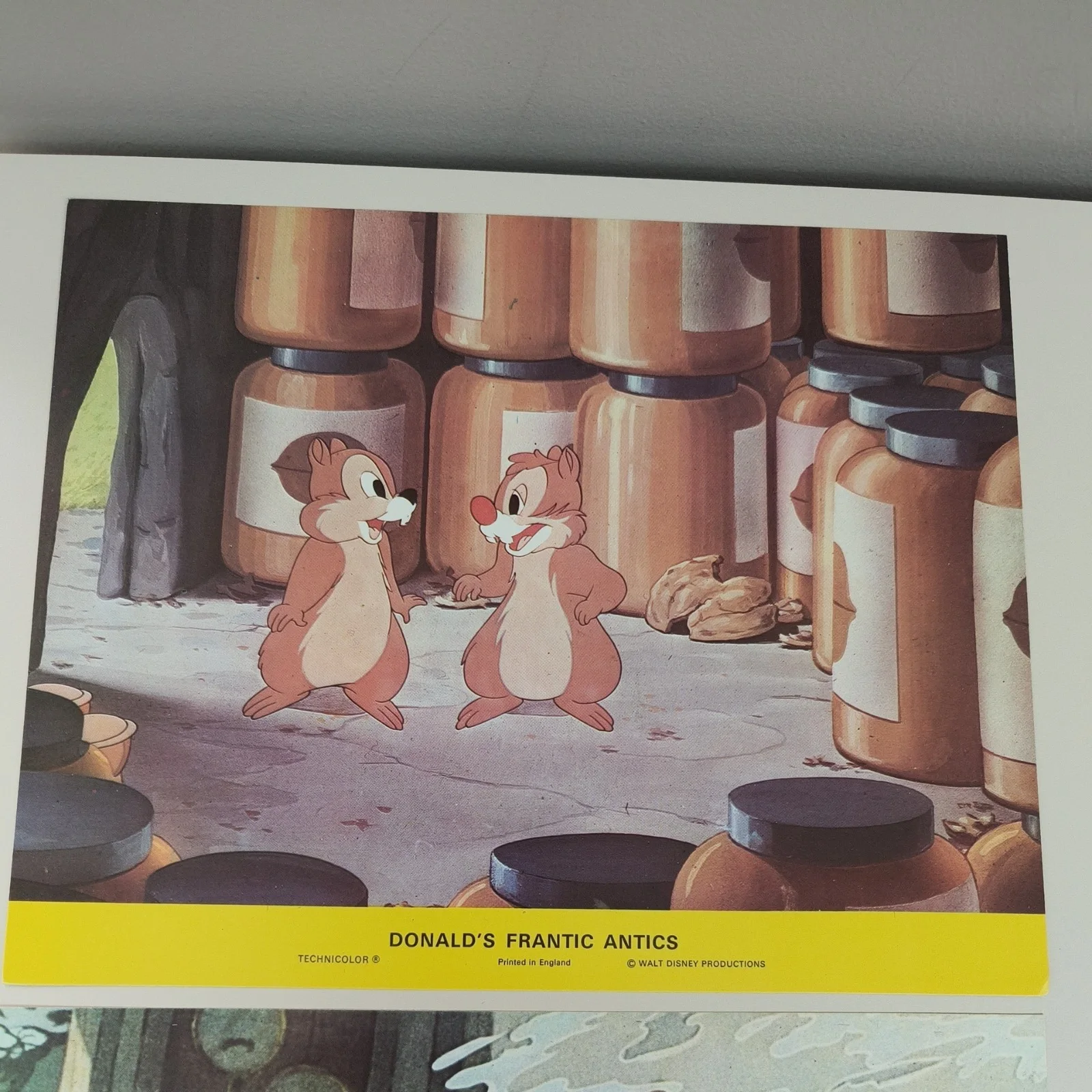 Donald Duck Frantic Antics Lobby Cards Stills /Front House Cartoon 1970s Vintage, image 4