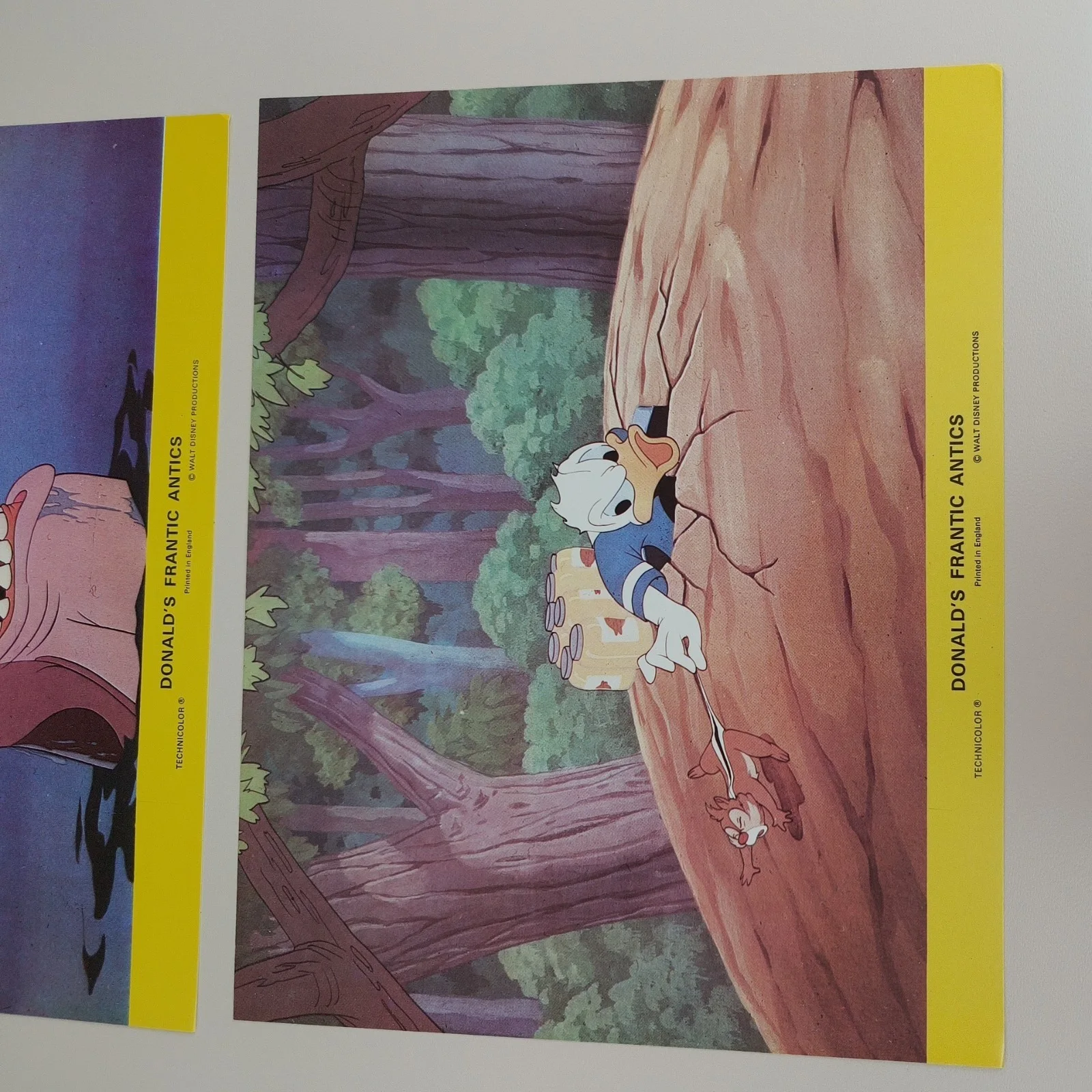 Donald Duck Frantic Antics Lobby Cards Stills /Front House Cartoon 1970s Vintage, image 5