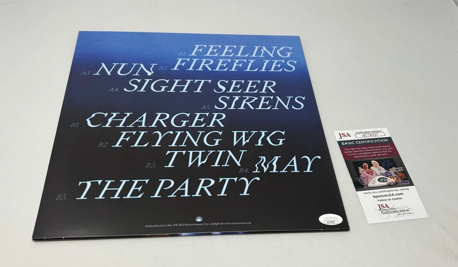 Devendra Banhart signed Flying Wig Album JSA COA, image 2