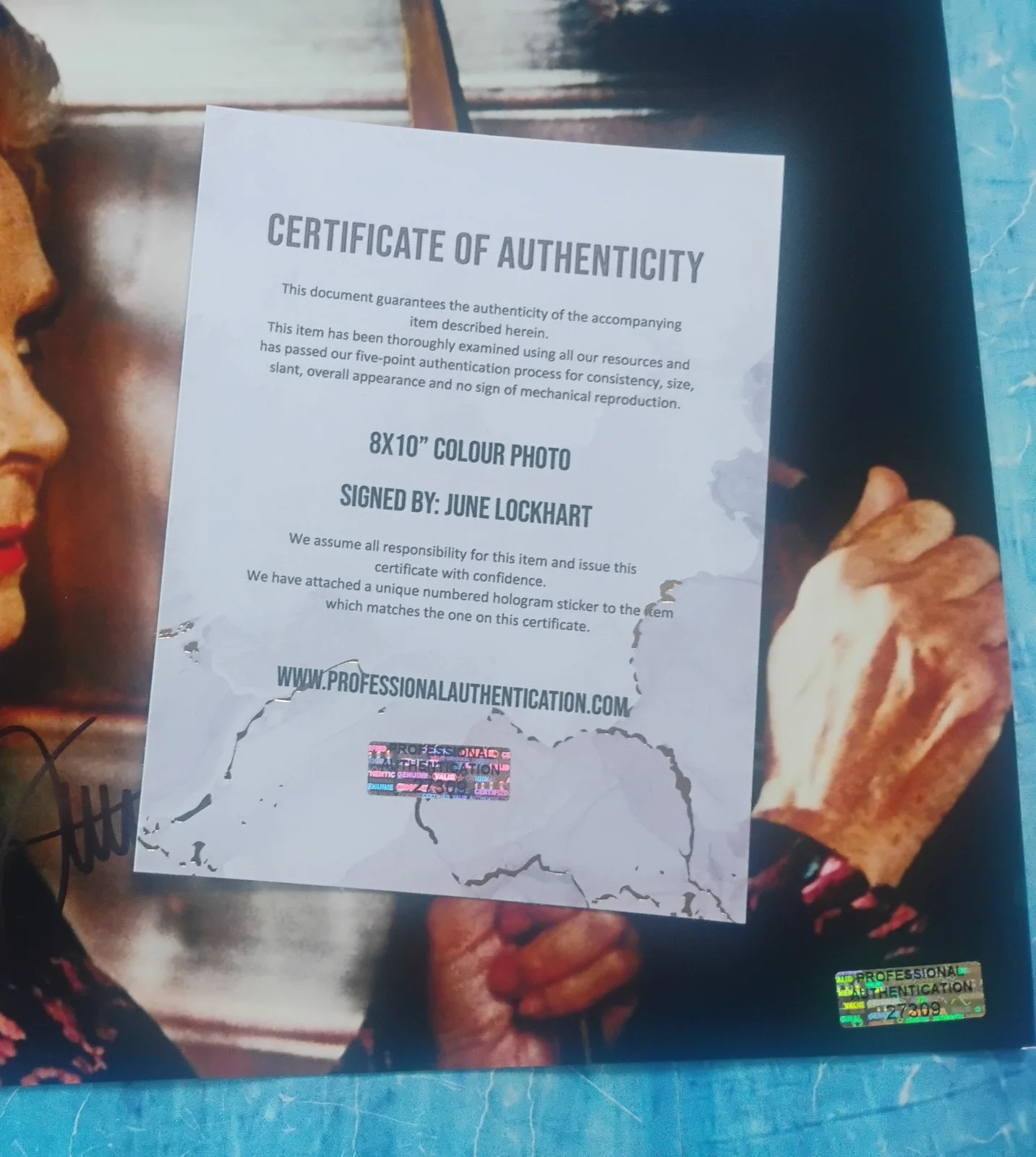 June Lockhart Hand Signed Autograph 8x10 Photo COA Troll NO US TARIFFS, image 4