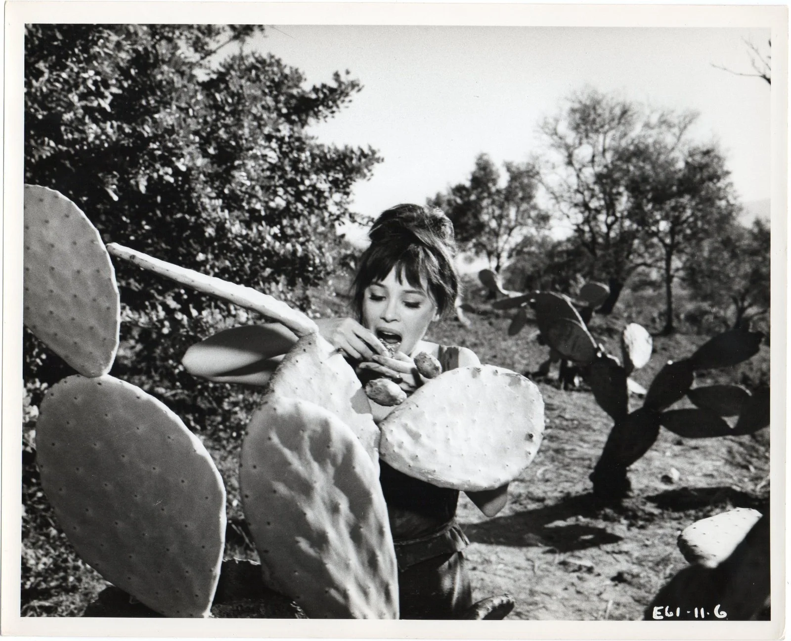 GUNS OF DARKNESS 1962 Leslie Caron David Niven, David Opatoshu 4 10x8 STILLS, изображение 2