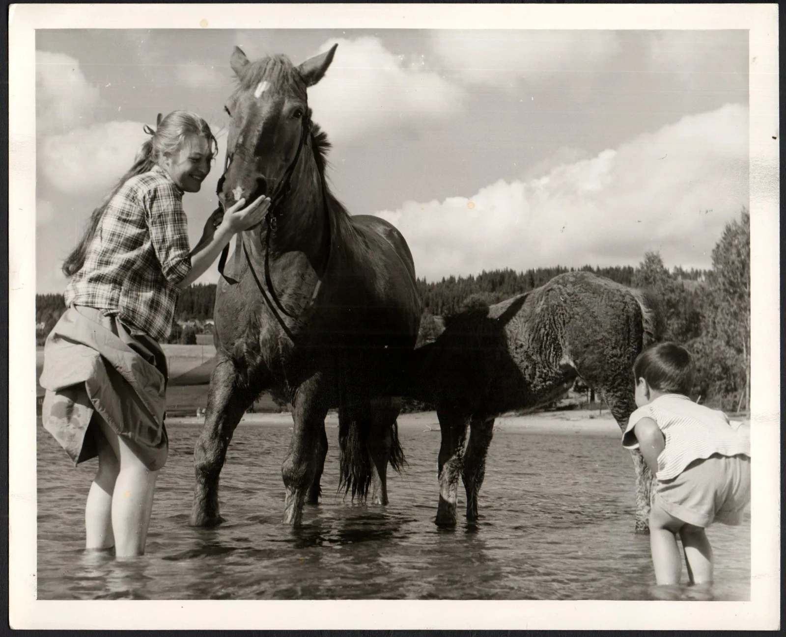 SJUTTON AR 1957 Ingeborg Nybergn, Tage Severin, Randi Kolstad 3 10x8 STILLS, изображение 5