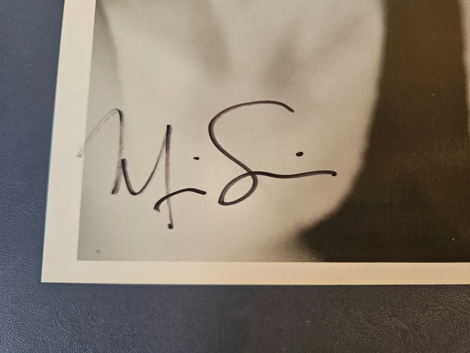 MIRA SORVINO Signed Autographed American Actress 8x10 Photo, изображение 2