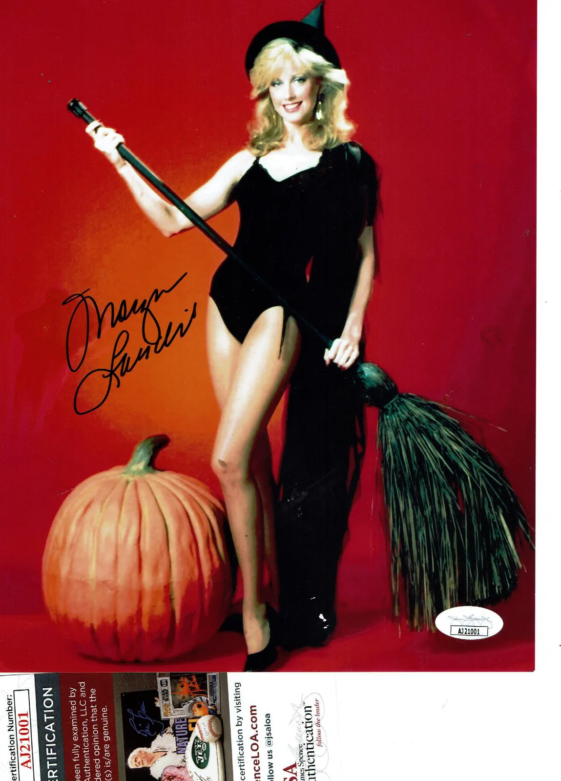 Morgan Fairchild — Dynasty Morgan Fairchild autographed 8x10 Halloween creased photo JSA Certified