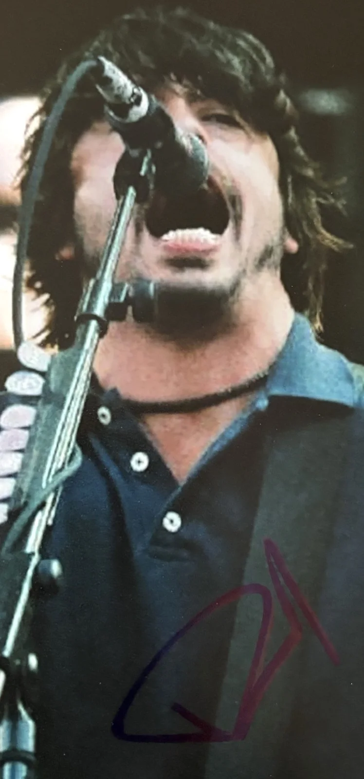 Dave Grohl SIGNED, Framed 8x10 Color Photo Nirvana, Foo Fighters Beckett COA, image 5