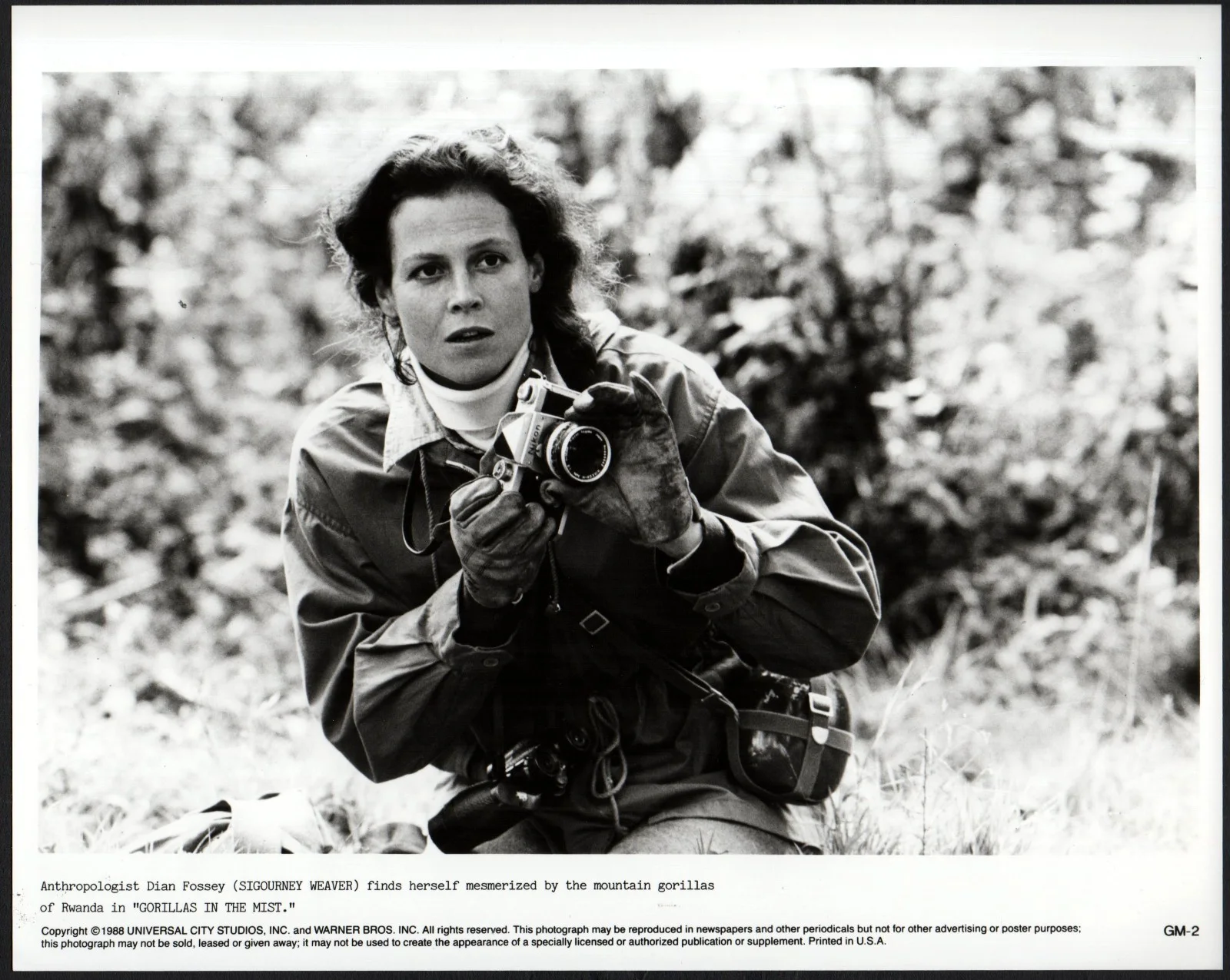 GORILLAS IN THE MIST 1988 Sigourney Weaver - Dian Fossey 4 10x8 STILLS, изображение 2