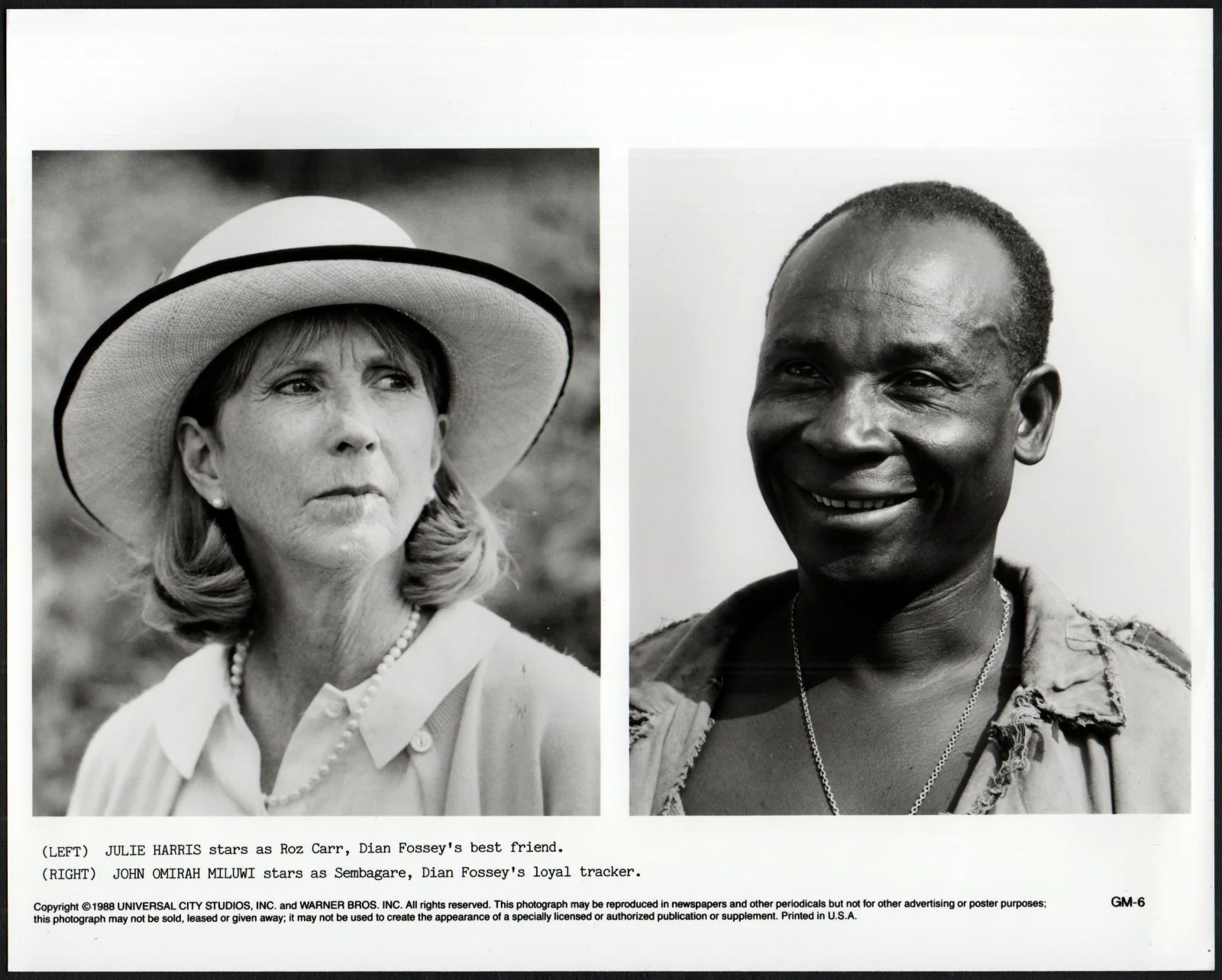 GORILLAS IN THE MIST 1988 Sigourney Weaver - Dian Fossey 4 10x8 STILLS, изображение 4
