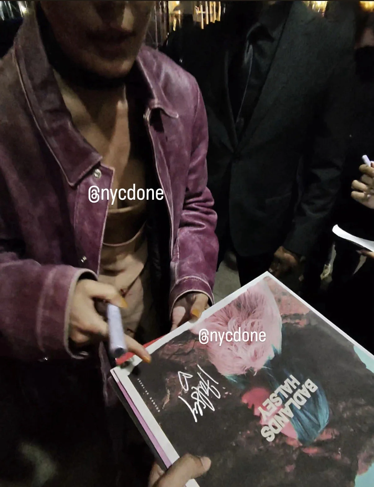 Halsey Badlands Signed Vinyl PHOTO PROOF, image 4