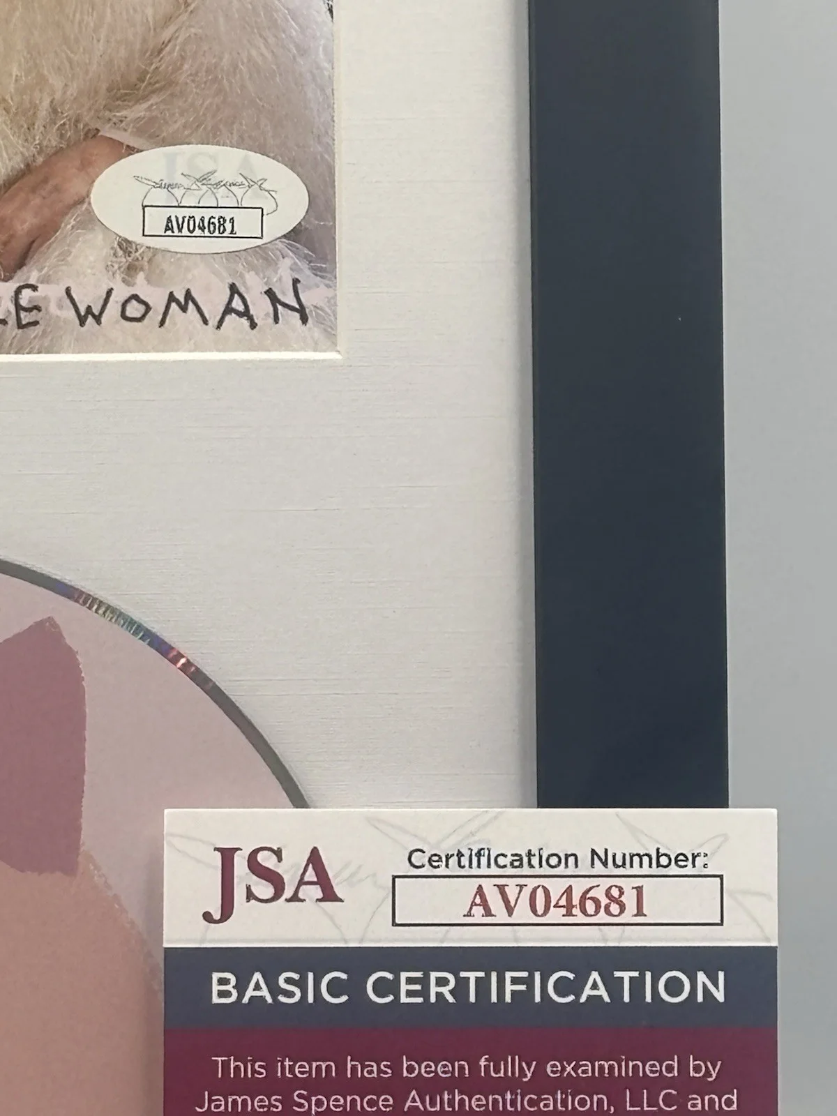 SIA REASONABLE WOMAN SIGNED CD AUTOGRAPHED FRAMED & MATTED JSA COA AV04681 RARE, изображение 4