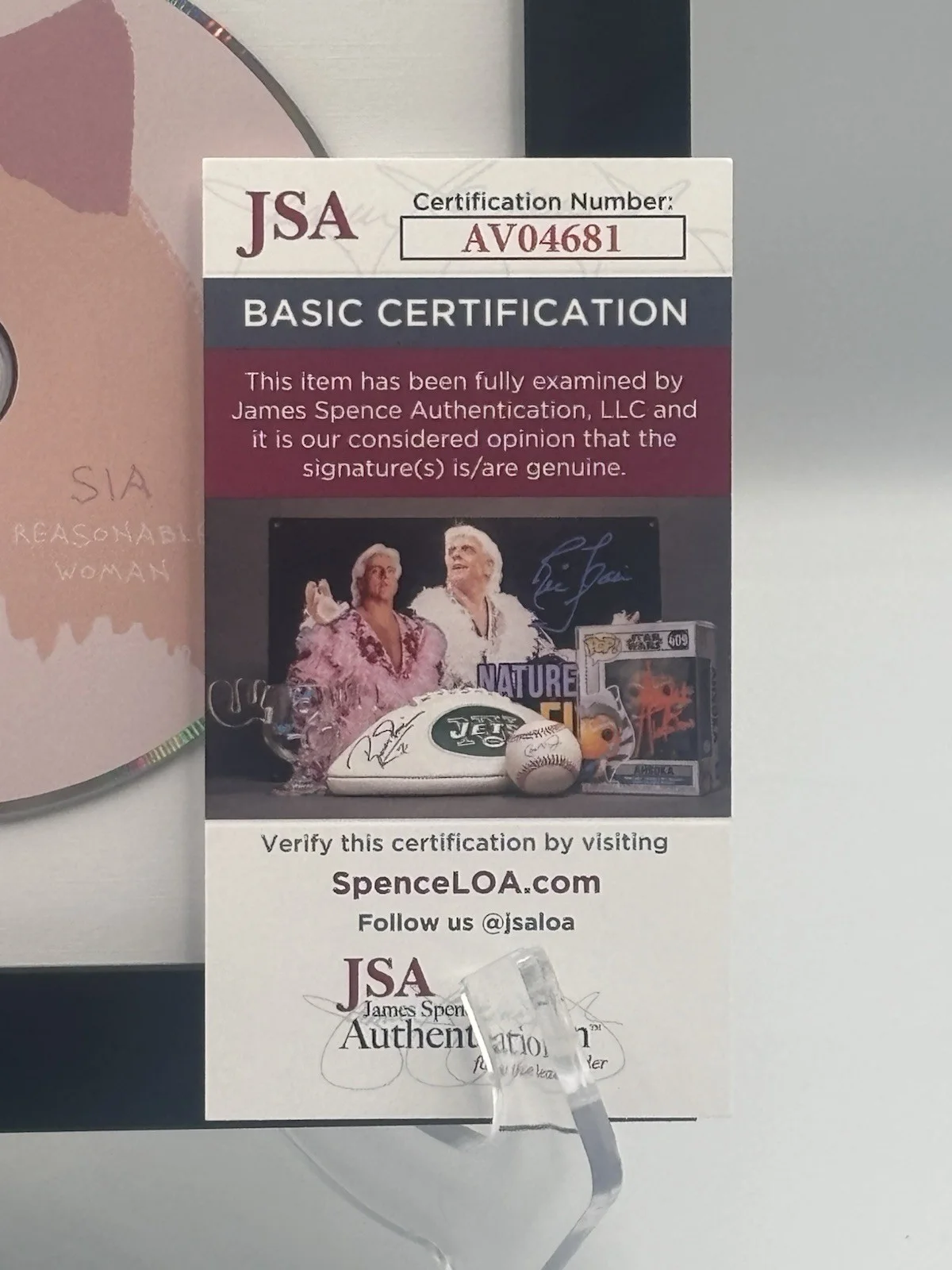 SIA REASONABLE WOMAN SIGNED CD AUTOGRAPHED FRAMED & MATTED JSA COA AV04681 RARE, изображение 5