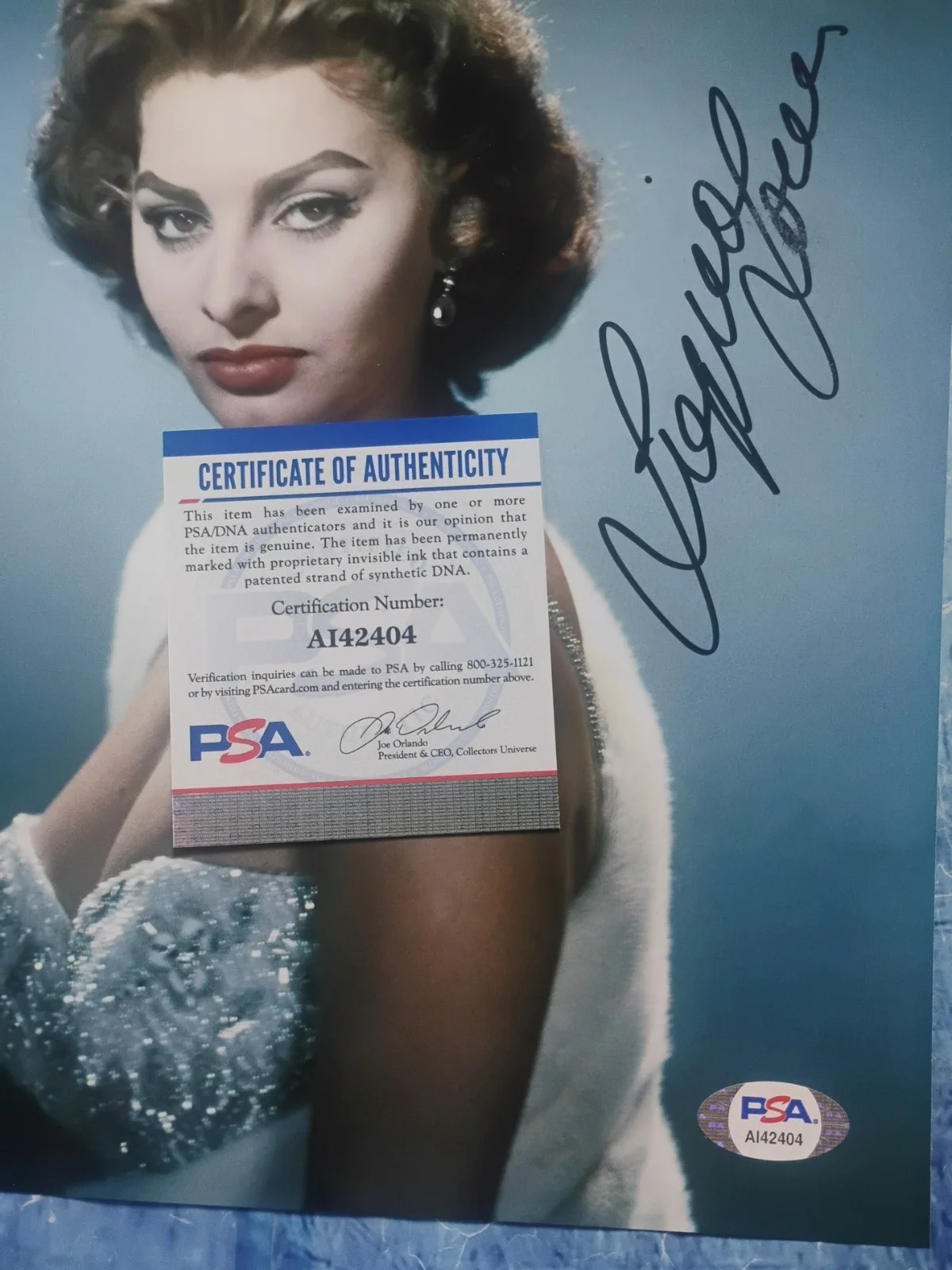 Sophia Loren Hand Signed Autograph PSA COA 8x10 Photo NO US TARIFFS, изображение 4