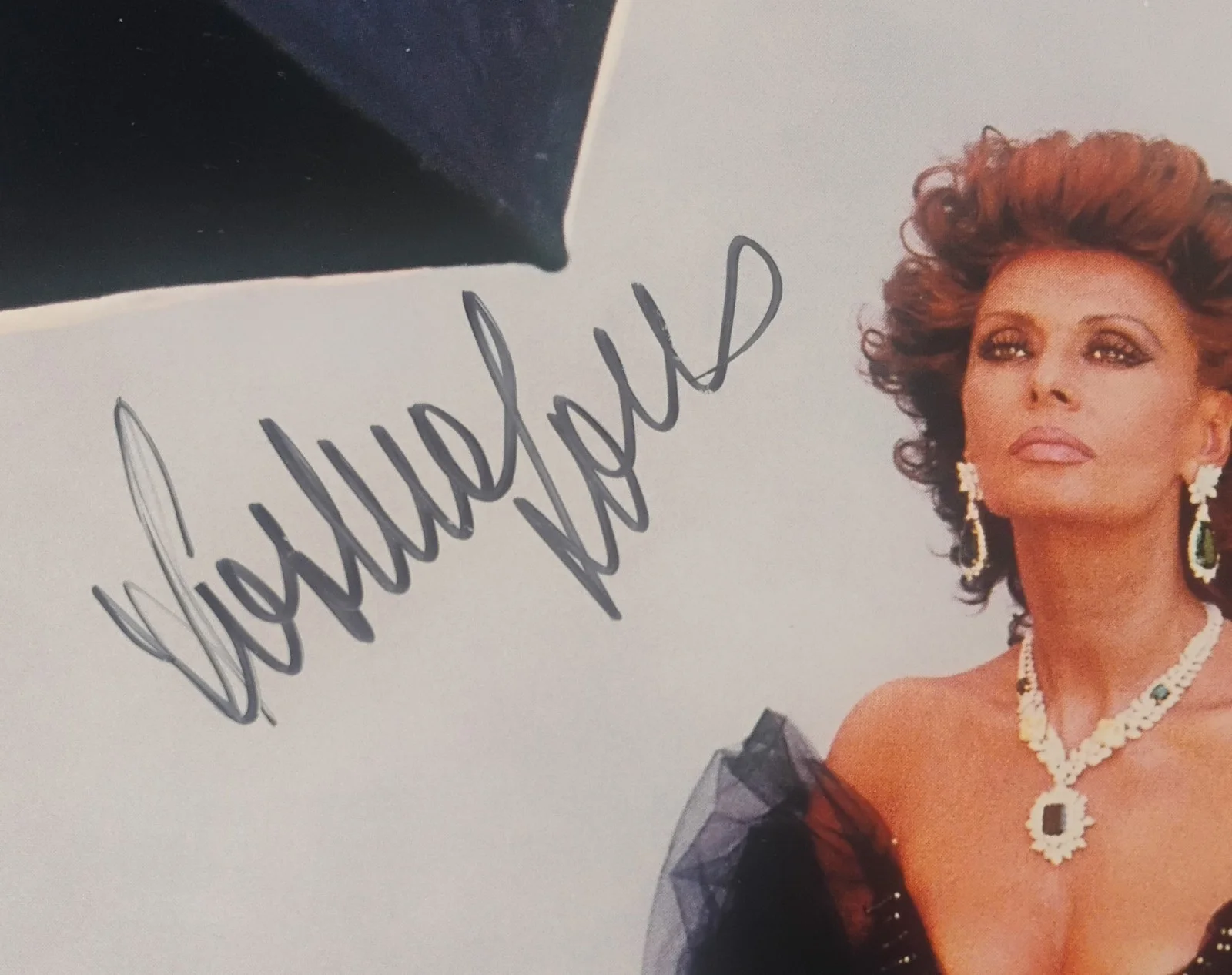 Sophia Loren Hand Signed Autograph JSA COA 8x10 Photo NO US TARIFFS, изображение 3