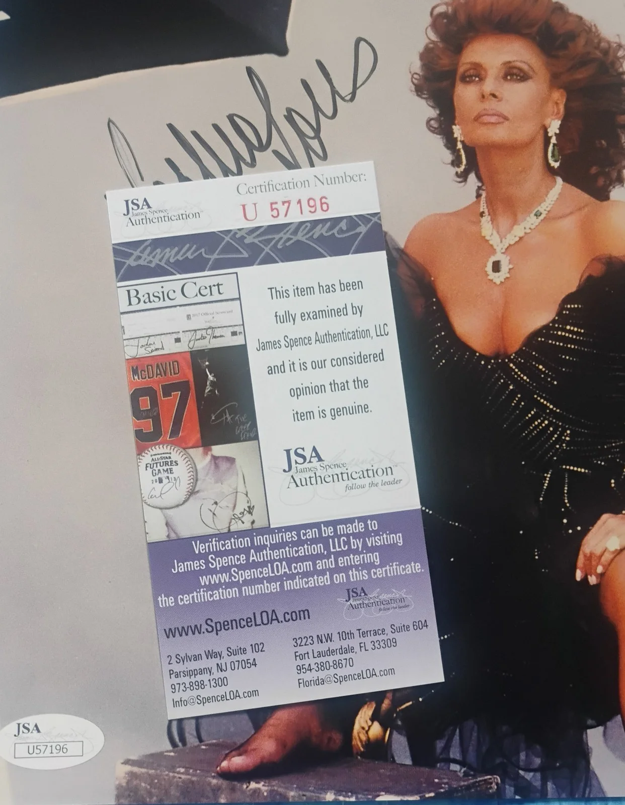 Sophia Loren Hand Signed Autograph JSA COA 8x10 Photo NO US TARIFFS, изображение 4