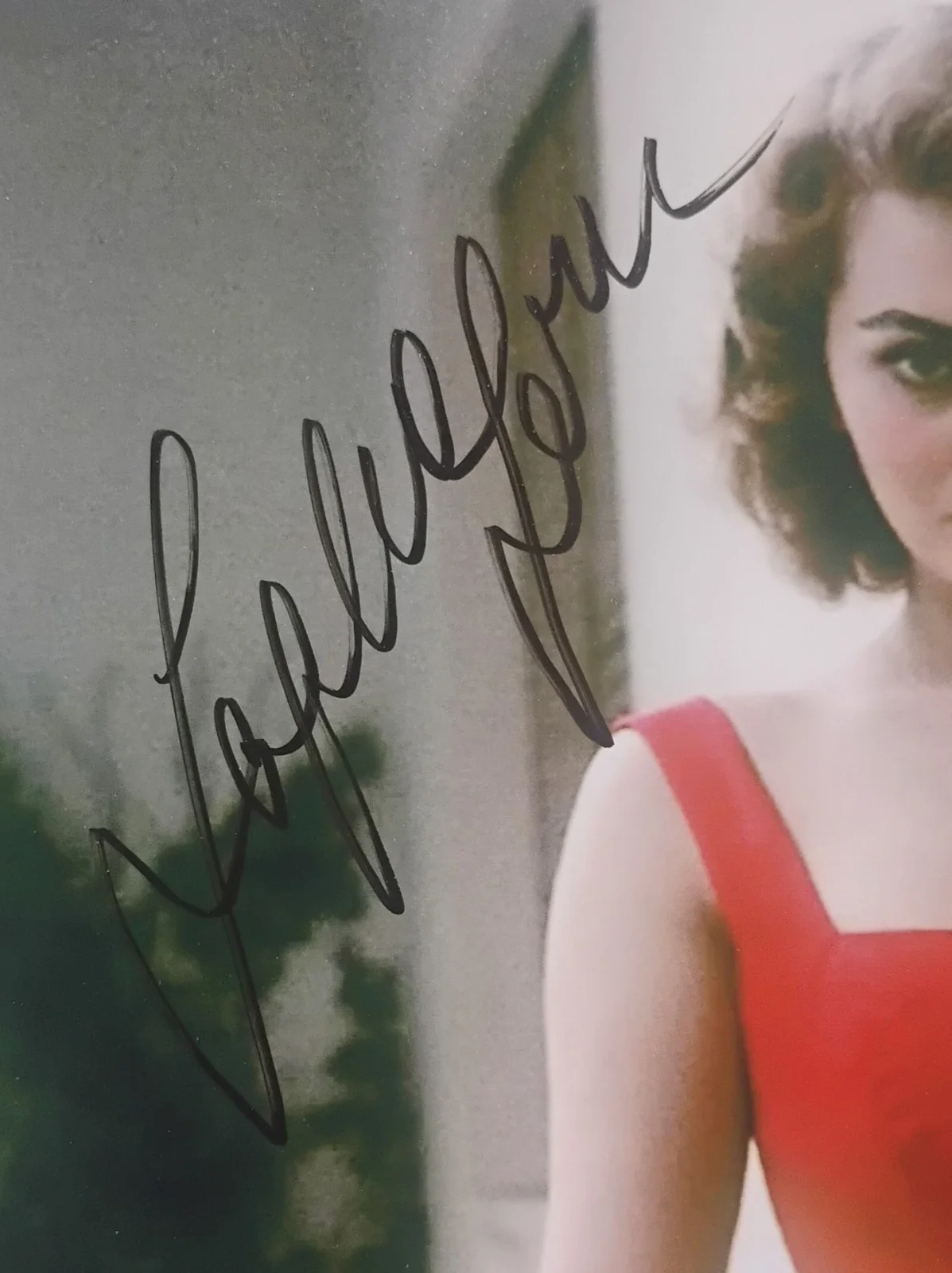 Sophia Loren Hand Signed Autograph COA 8x10 Photo NO US TARIFFS, image 3