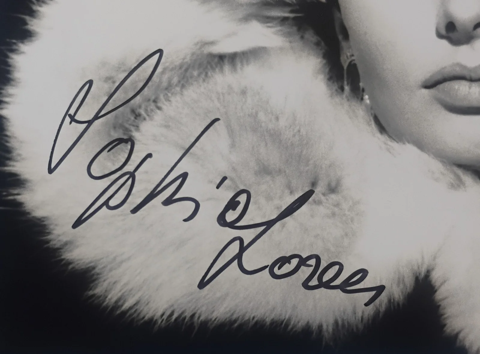 Sophia Loren Hand Signed Autograph COA 8x10 Photo NO US TARIFFS, изображение 3