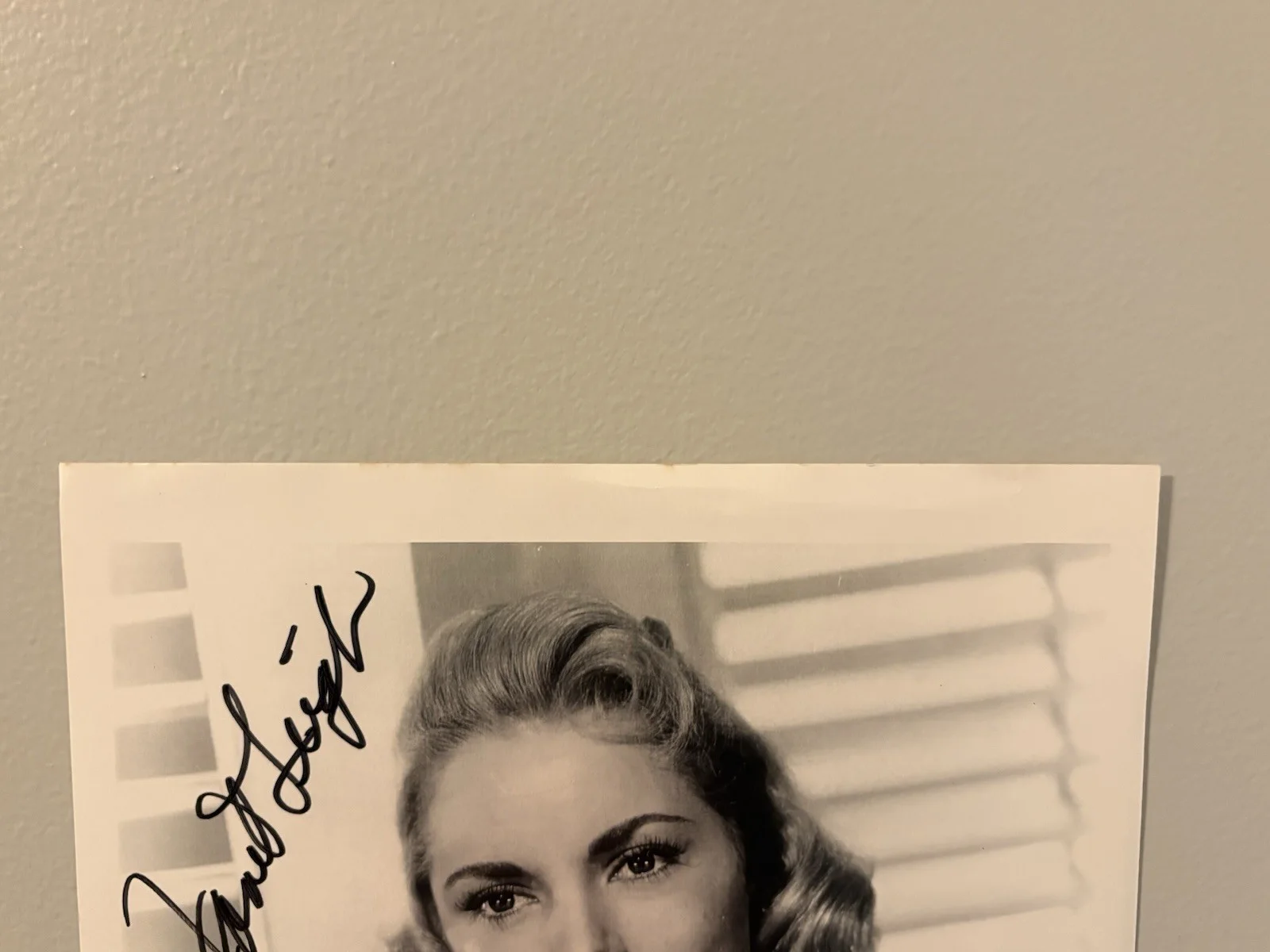 Janet Leigh — Janet Leigh PSA DNA COA Autograph 8x10 Photo Signed Psycho Hitchcock, image 3