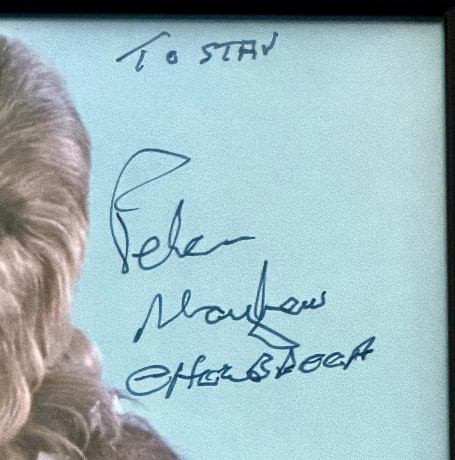 Star Wars Peter Mayhew Chewbacca Autograph 8x10 Framed, изображение 2