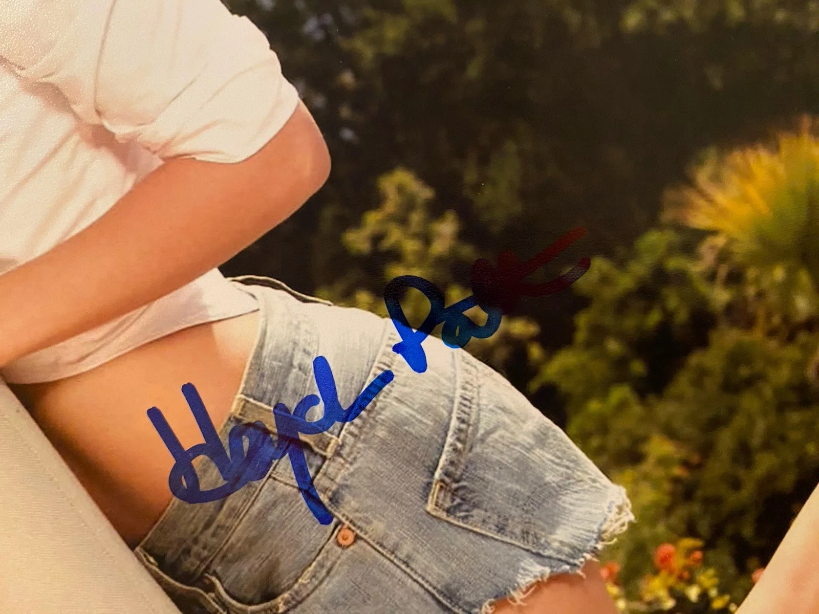 Hayden Panettiere — Hayden Panettiere Signed Autographed Photo w COA Nashville Remember The Titans, изображение 2