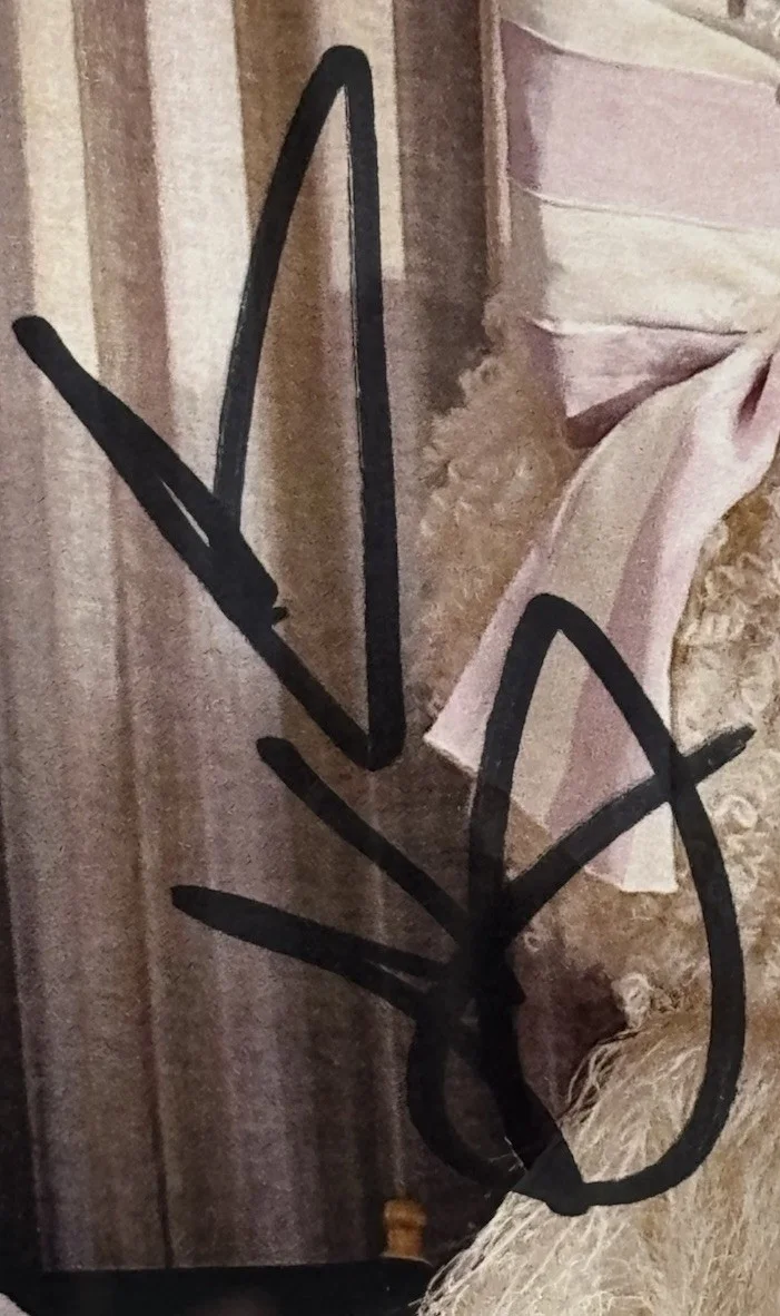 SIA REASONABLE WOMAN SIGNED CD AUTOGRAPHED FRAMED & MATTED JSA COA AV04673 RARE, изображение 3
