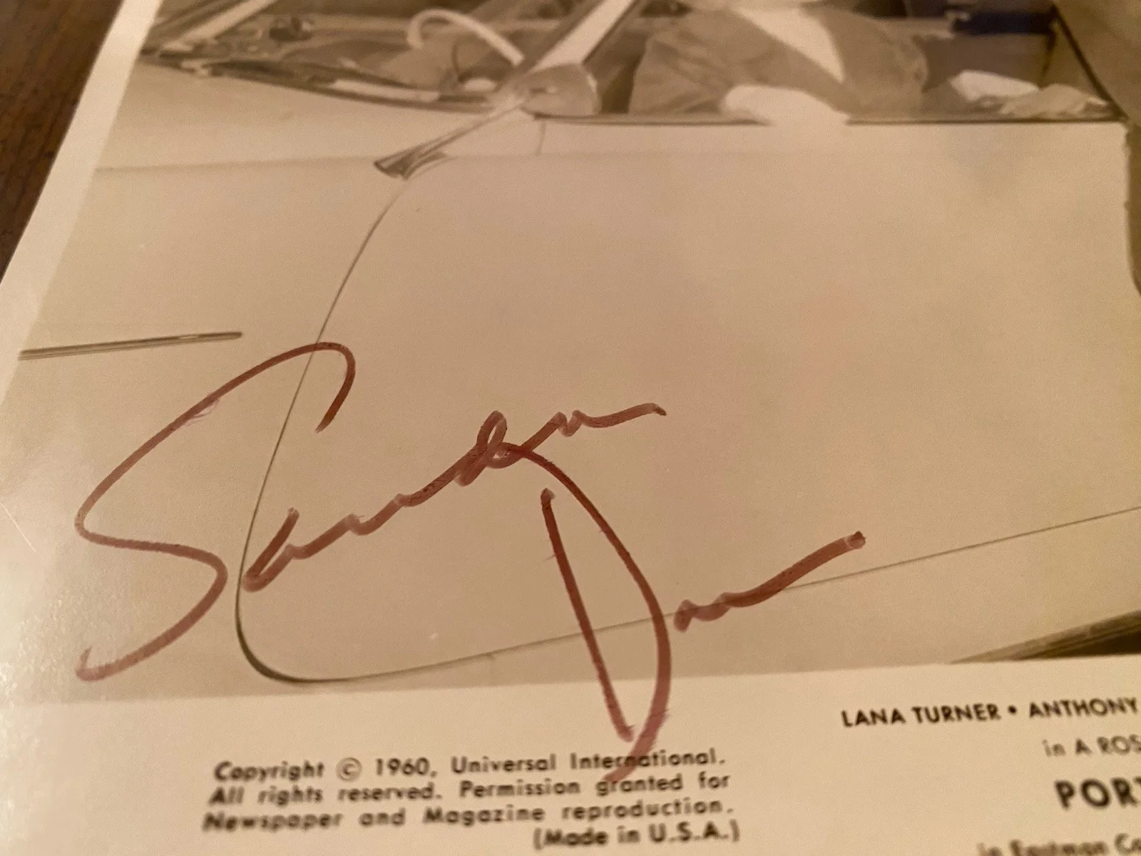 Sandra Dee — Sandra Dee Signed Autographed Vintage Photo With COA Portrait In Black Gidget, изображение 3