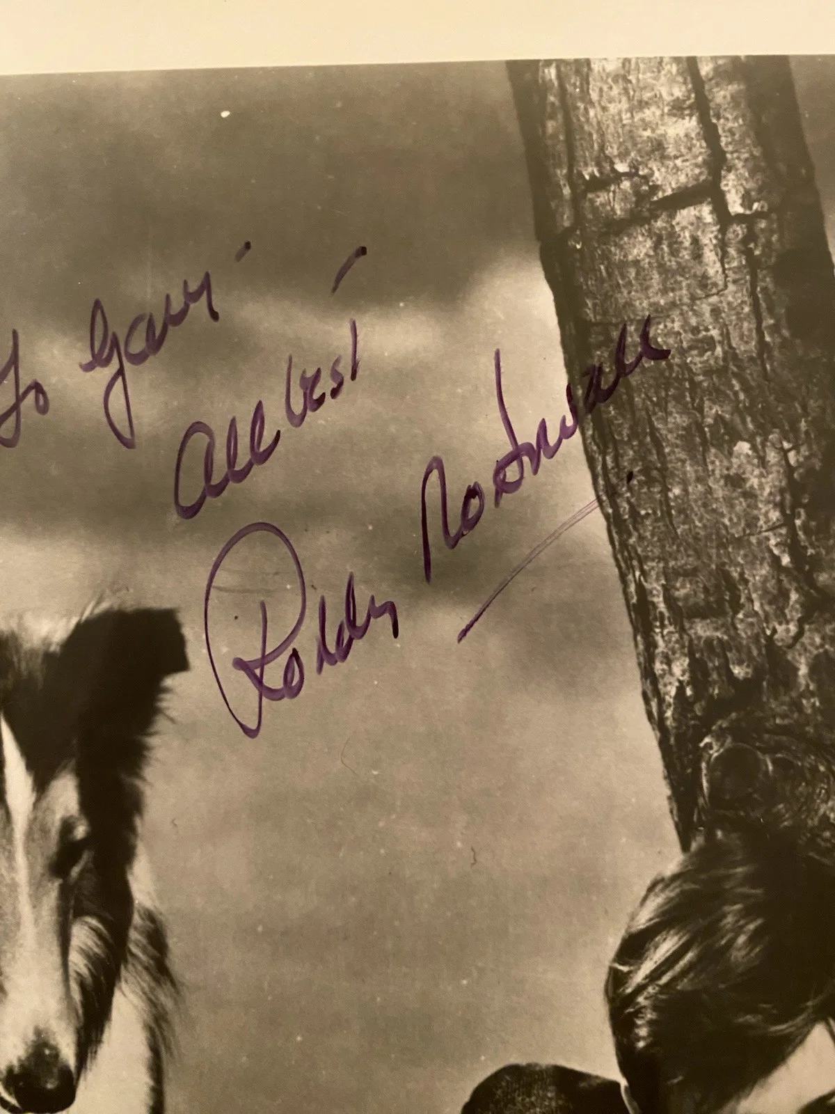 Roddy McDowall — Roddy McDowall Signed Autographed Vintage Photo With COA Lassie Come Home NICE, изображение 2