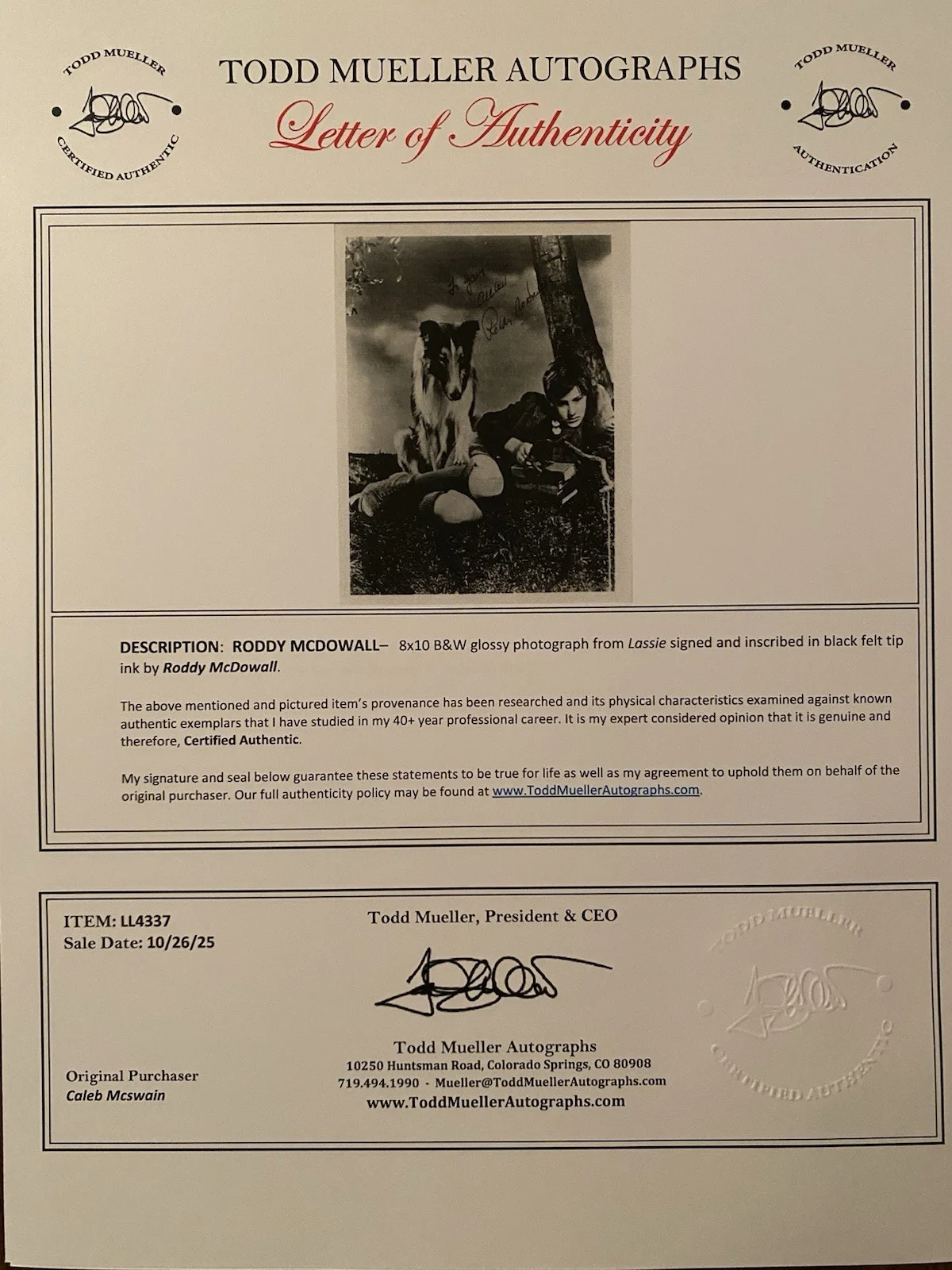 Roddy McDowall — Roddy McDowall Signed Autographed Vintage Photo With COA Lassie Come Home NICE, изображение 4