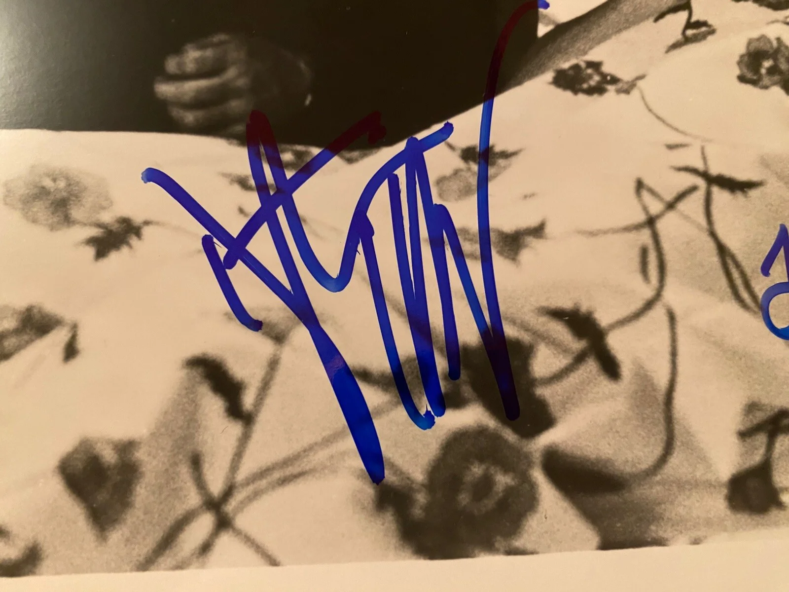 Dustin Hoffman, Teri Garr — Tootsie Cast Signed Autographed Photo Dustin Hoffman Teri Garr With COA LOA, изображение 2
