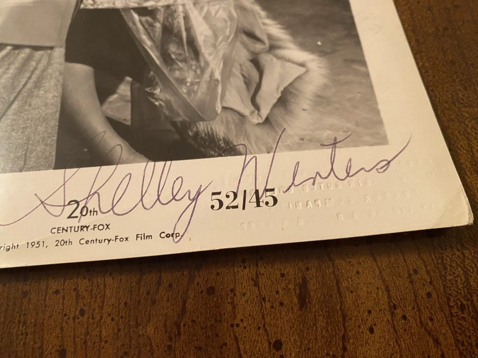 Gary Merrill, Shelley Winters — Gary Merrill Shelley Winters Signed Autographed Photo With COA Phone Call From A, image 3