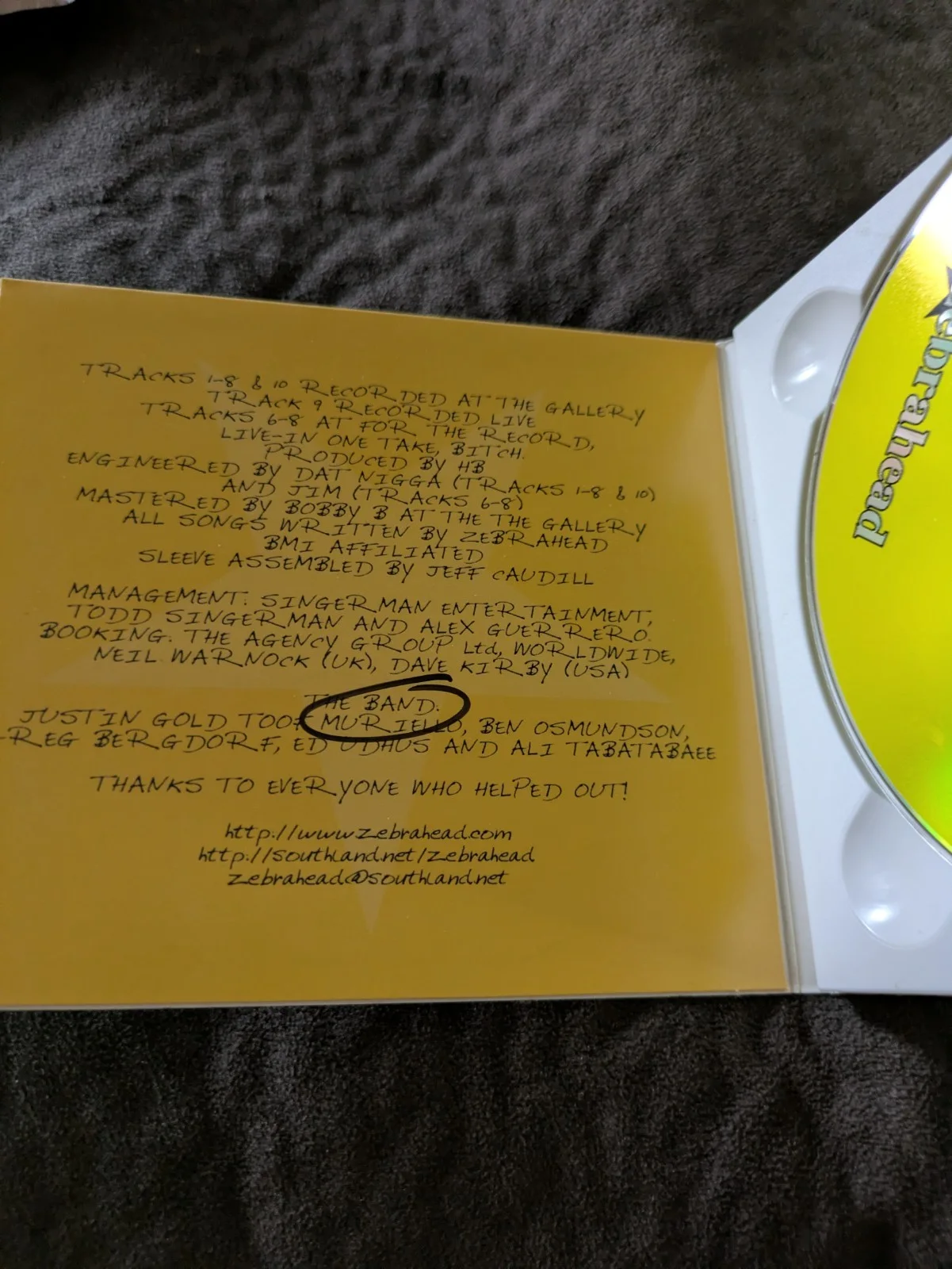Zebrahead Yellow Album CD Full Band Signed, image 3