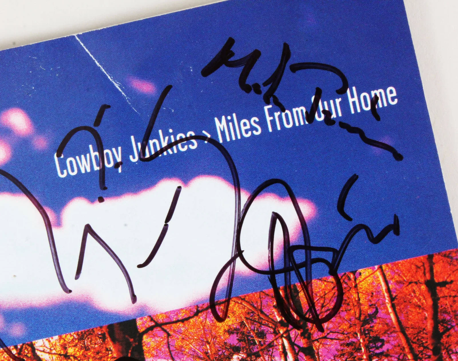 Cowboy Junkies Signed CD Cover - COA JSA, image 2