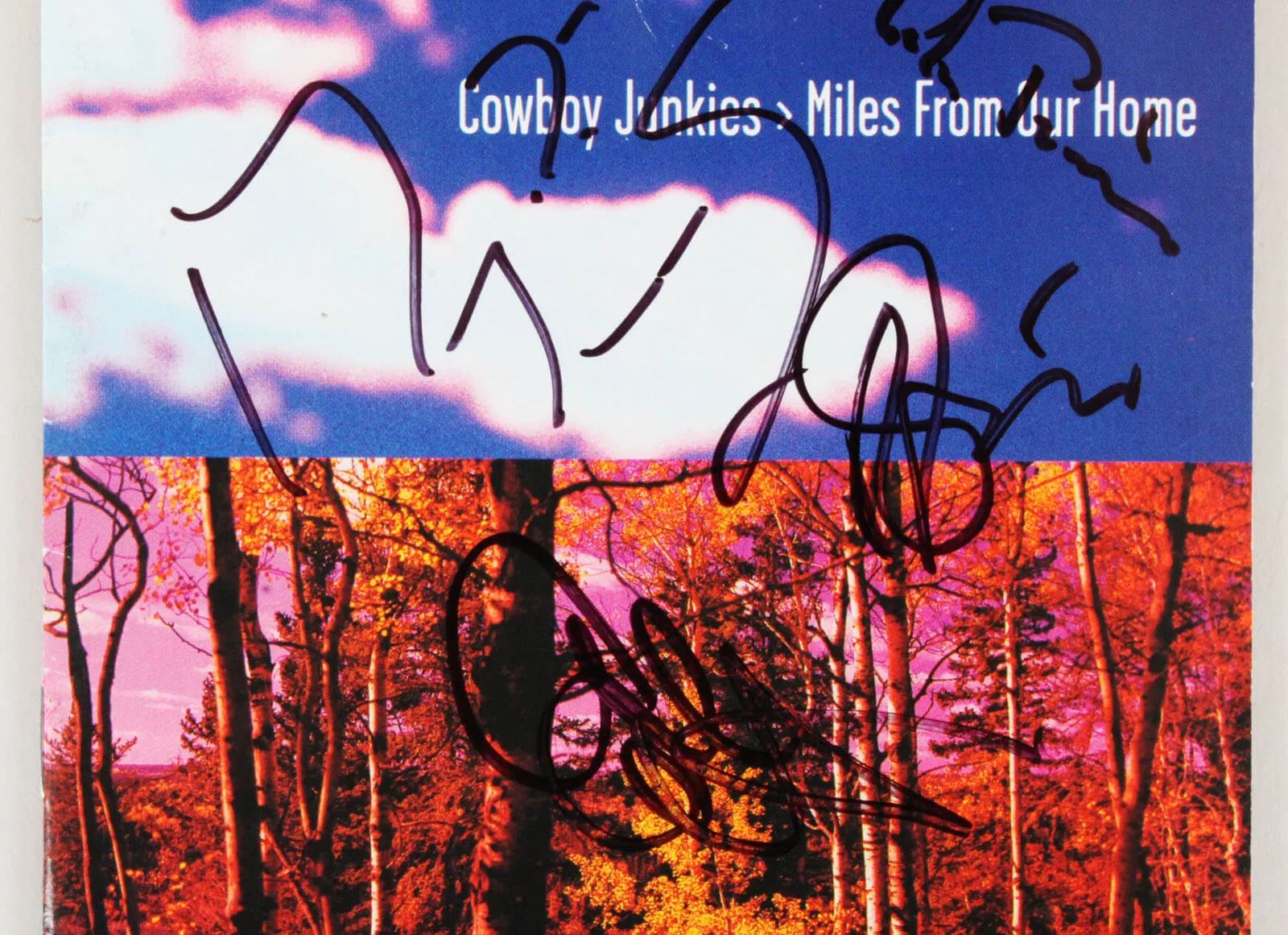Cowboy Junkies Signed CD Cover - COA JSA, image 3
