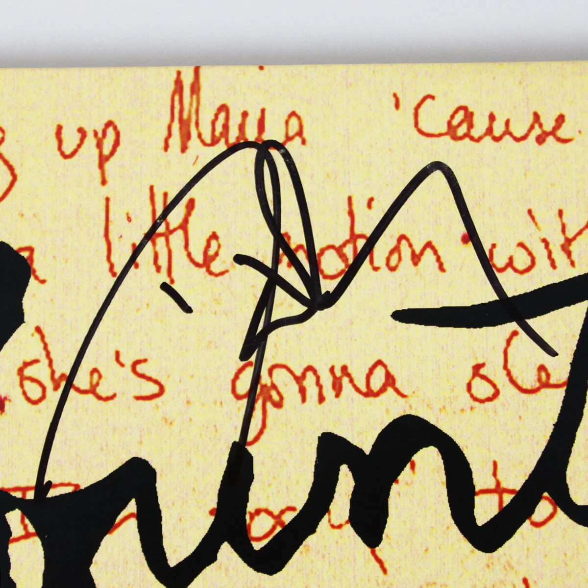 Counting Crows Band Signed Record Album August and Everything (7) Incl. Adam ..., image 2