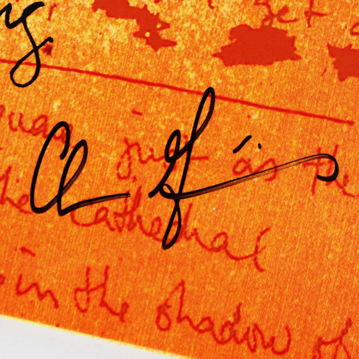 Counting Crows Band Signed Record Album August and Everything (7) Incl. Adam ..., image 5