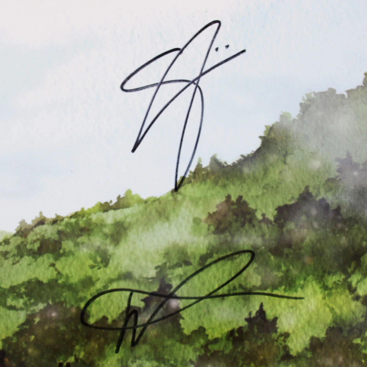 The Black Crowes Band Signed Record Album (6) Incl. Chris Robinson Before the..., image 4