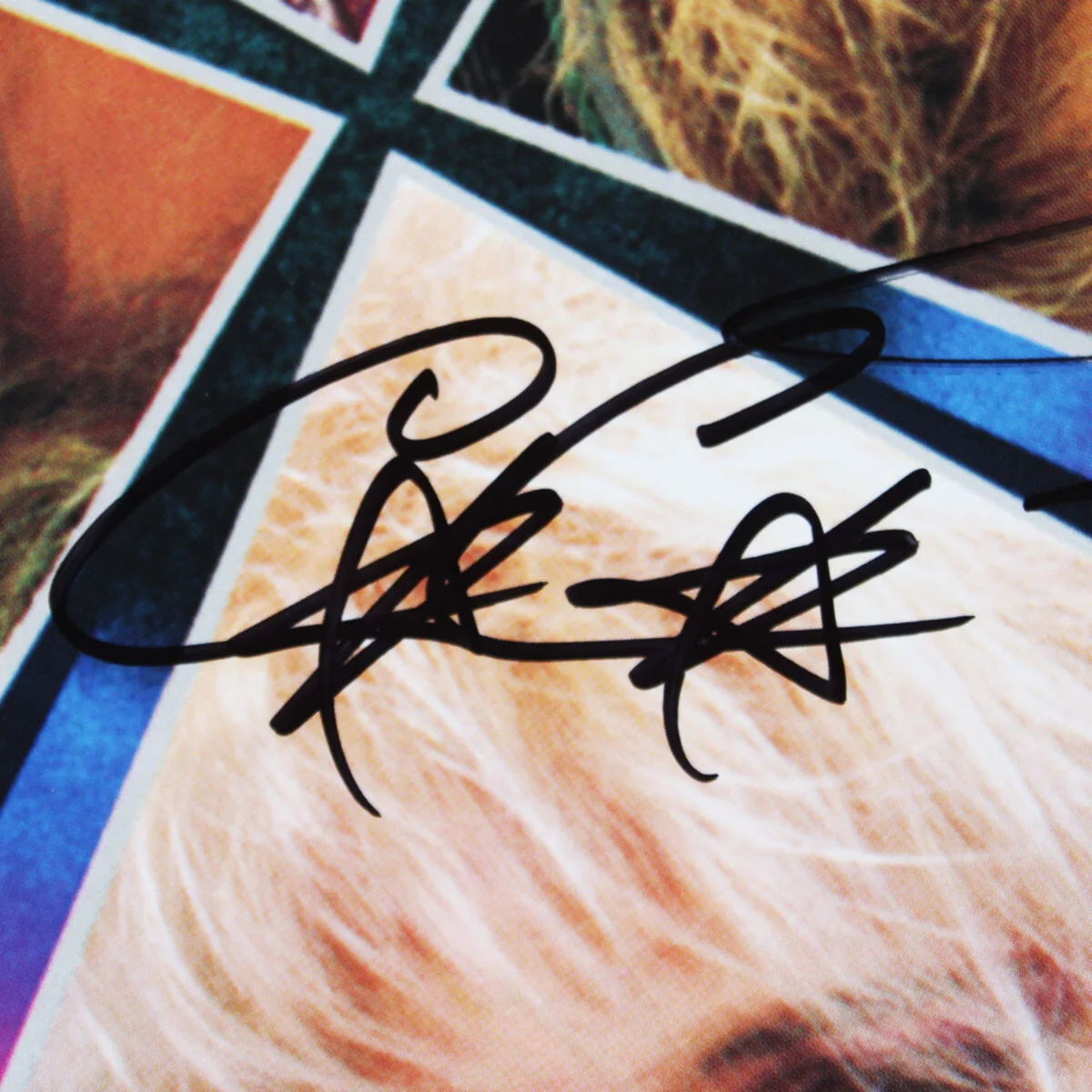 Poison Signed Record Album Look What the Cat Dragged In (4) Bret Michaels, C...., image 4