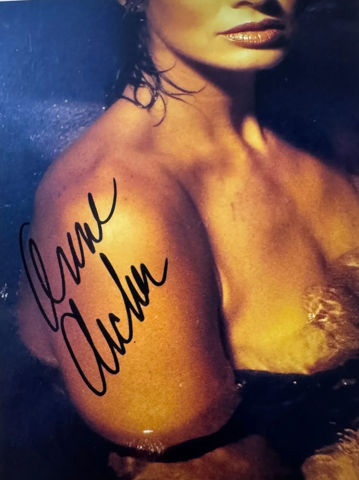 ANNE ARCHER — ANNE ARCHER SIGNED • Stunning Autographed Photo• FATAL ATTRACTION w/COA, изображение 2