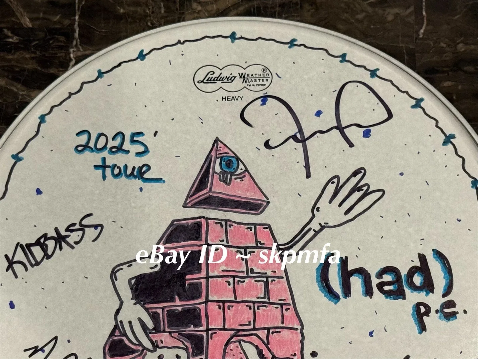 HED PE Band Signed 14" Drumhead Auto 💯 Official Merch 🥁, image 2