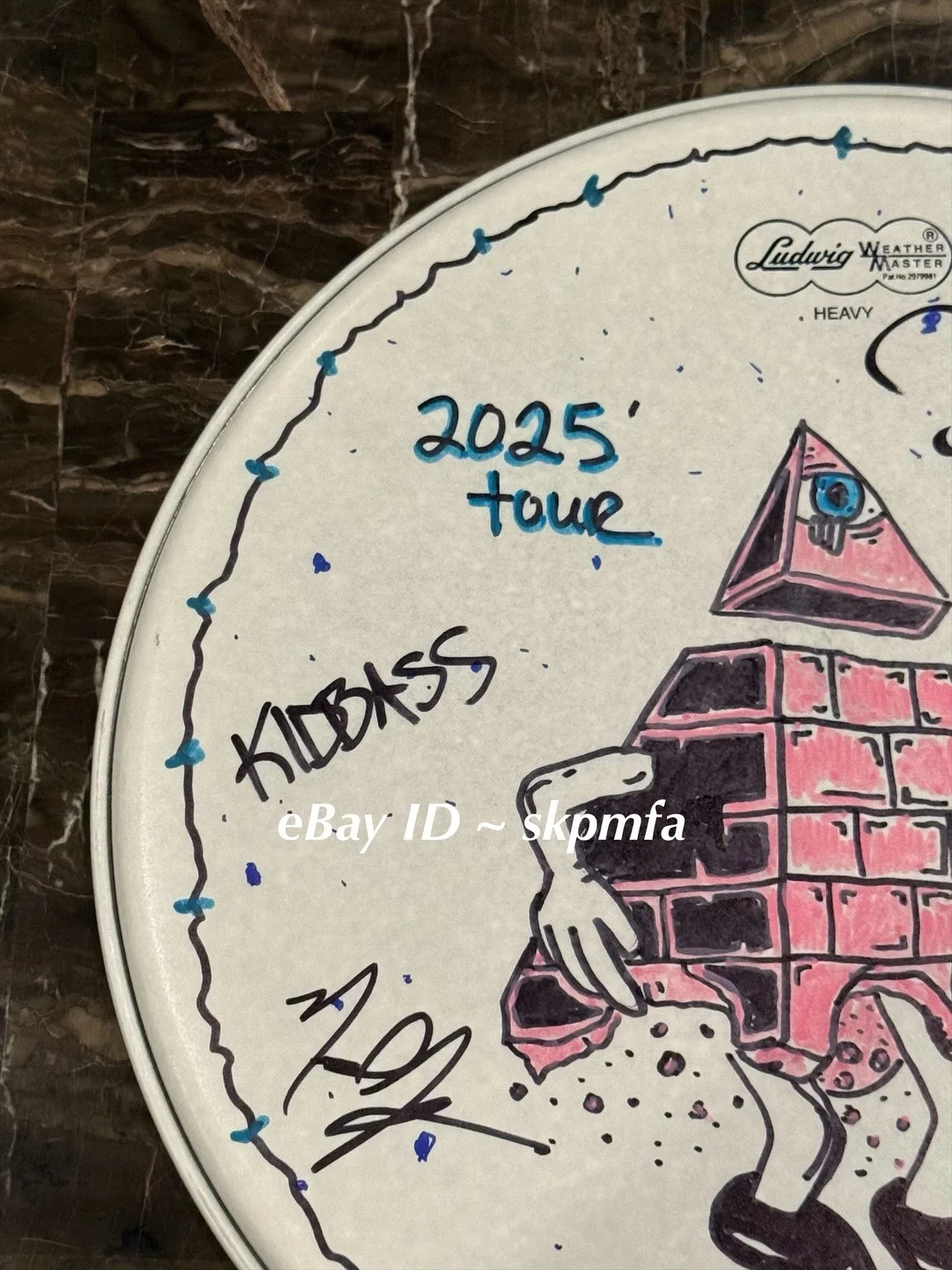 HED PE Band Signed 14" Drumhead Auto 💯 Official Merch 🥁, image 4
